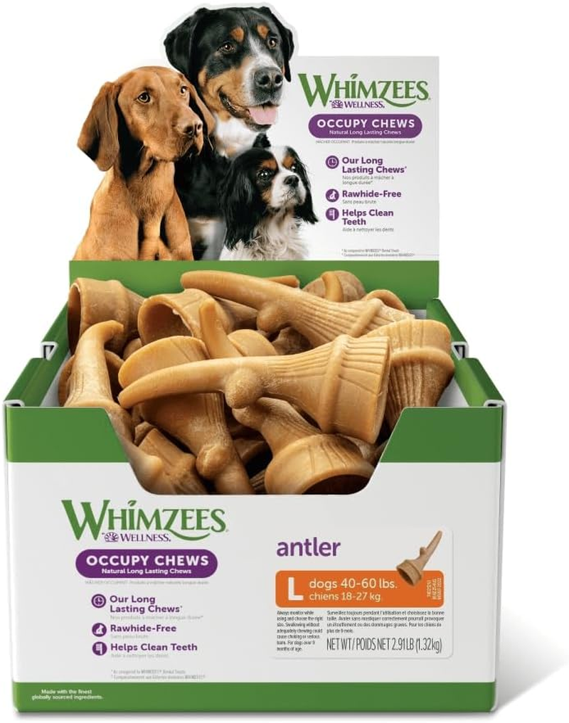 WHIMZEES Antler Dental Dog Treats, Bulk Box, Large (18-27Kg Dogs), Natural Daily Dental Chews (22 Count) image number 1