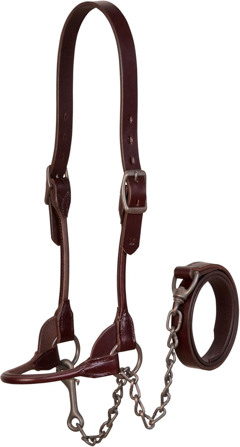 Weaver Leather Bombshell Show Halter image number 1