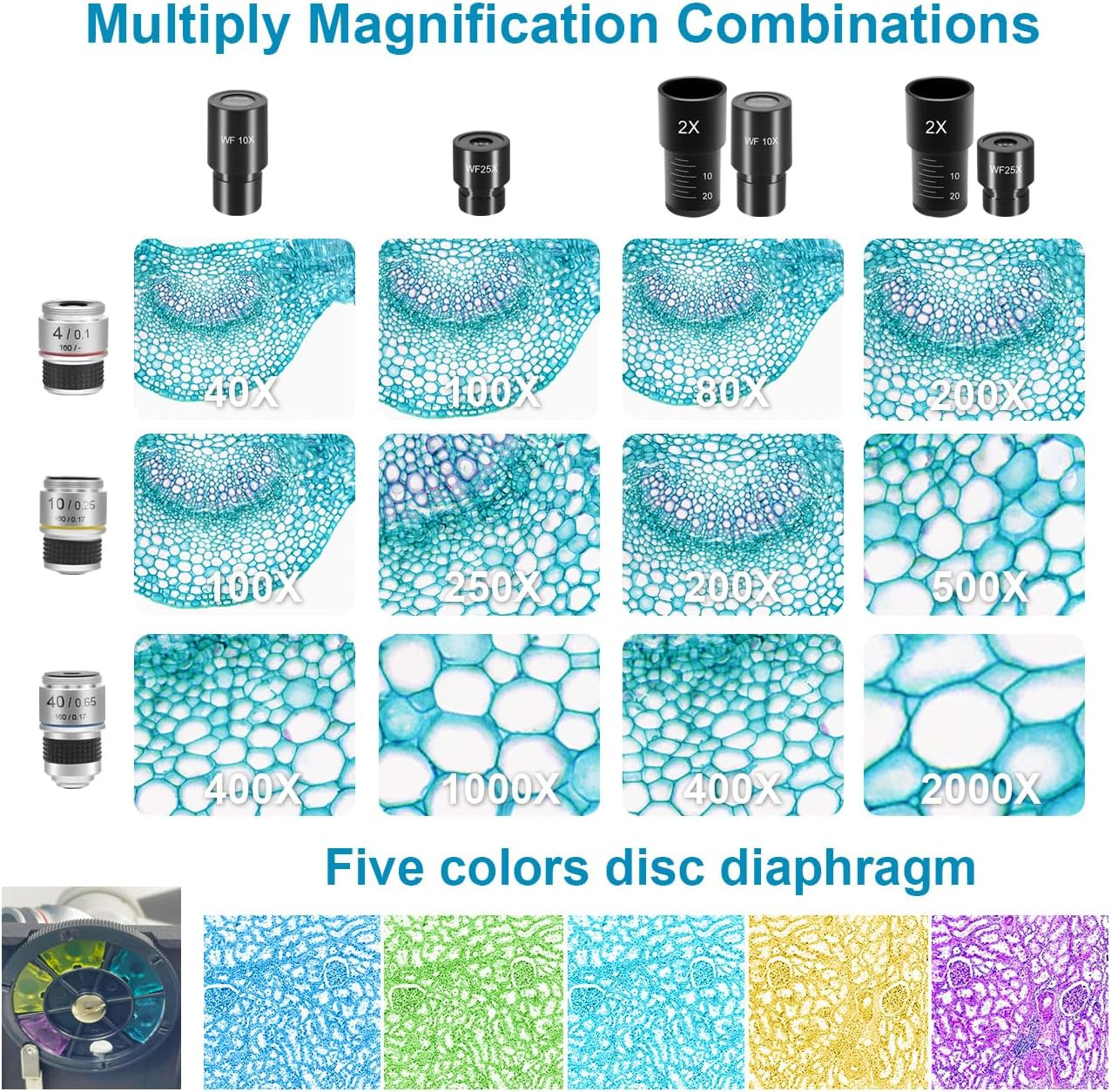 Microscope for Adults Kids Students, 40X-2000X Microscope with Electronic Eyepieces，Metal-Body Dual LED Illumination, Biological Microscope Kit for Kids Students Home School Lab image number 3