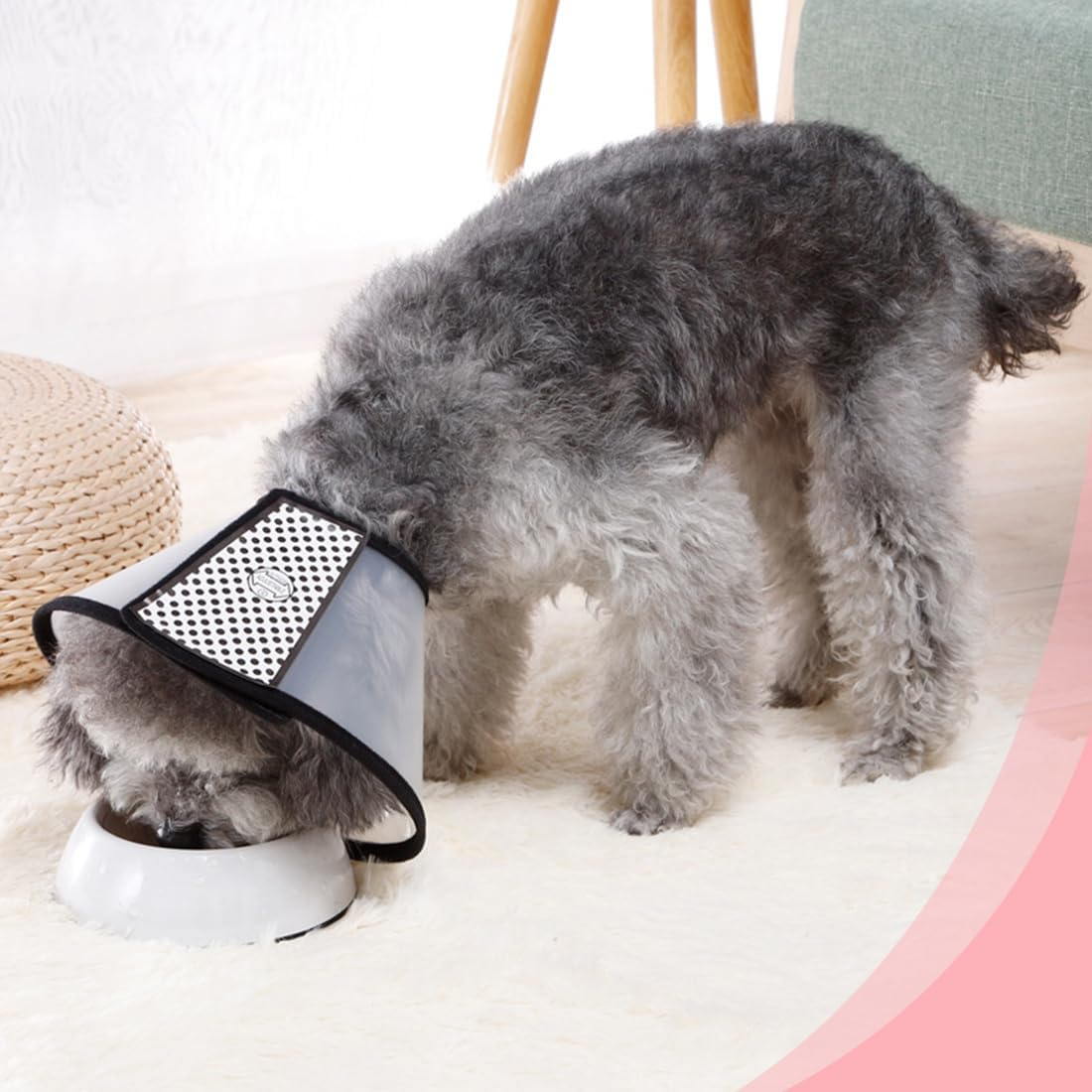 VAEIORP 1 Collar for Pets Plastic Elizabethan Plastic Elizabethan Collar Soft Cat Protective Collar Lightweight Elizabethan Collar for Kittens Puppies XS 15-18 Cm image number 5