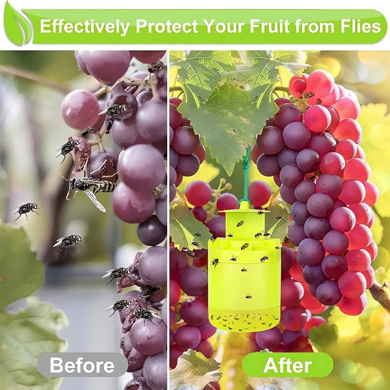 Leona Co Outdoor Fly Trap Environmentally Safe, Best Fly Catcher with Attractant for Gardens, Patios & Farms &ndash; Safe for Pets & Wildlife image number 1