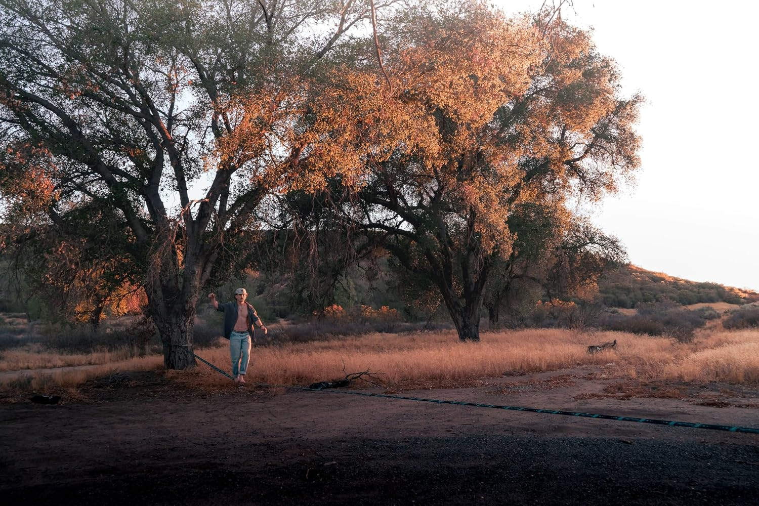 Zenmonkey Infinity Slackline Kit - 100 Foot Longline Slackline with Ergo Ratchet, Tree Protectors, Cloth Carry Bag and Instructions - Easy Setup for the Family, Kids and Adults image number 3