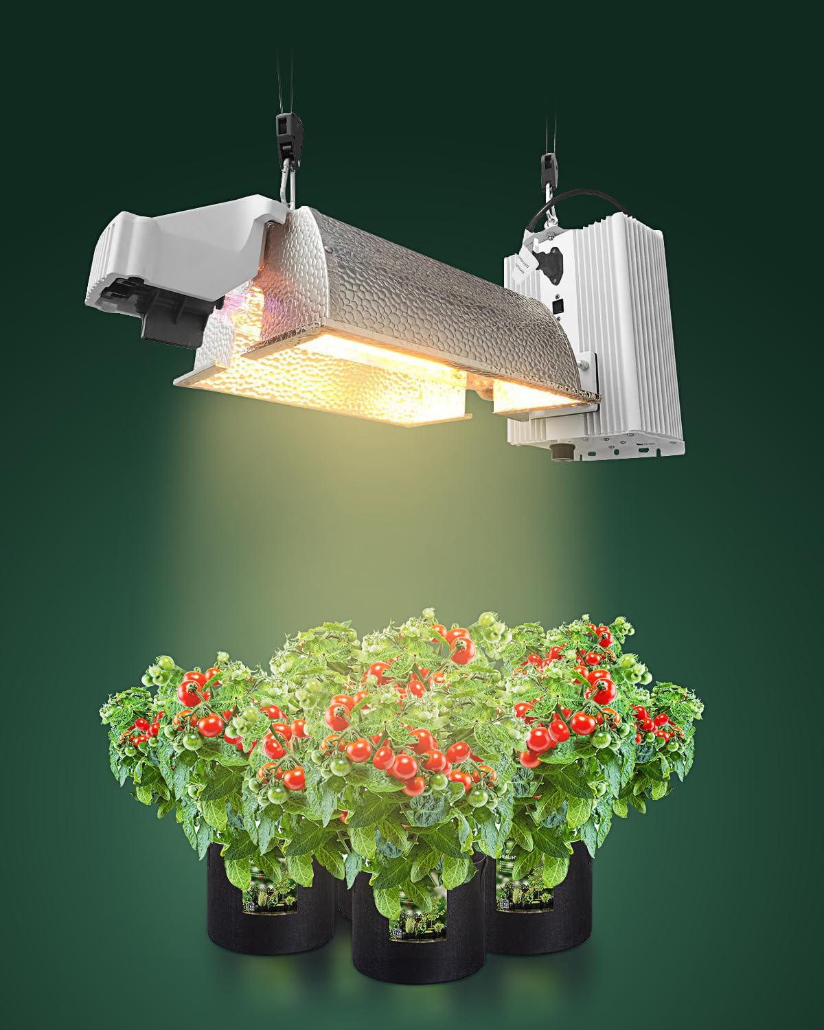 2-Pack 1/8&rdquo; Adjustable Rope Hanger, Heavy Duty Ratchet Tie down Strap with Reinforced Metal Gear, Ratcheting Pulley System Bungee Cord for Hanging Plants Grow Light and Various Tie-Down Uses image number 6