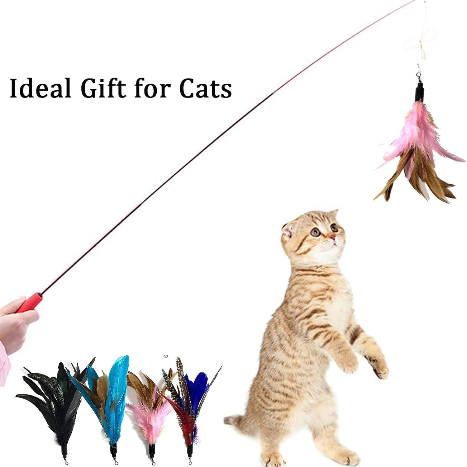Cat Teaser Wand with 7 Assorted Interactive Refills Feathers Teaser, Cat Feather Toys for Exercising Kitten and Cat image number 3