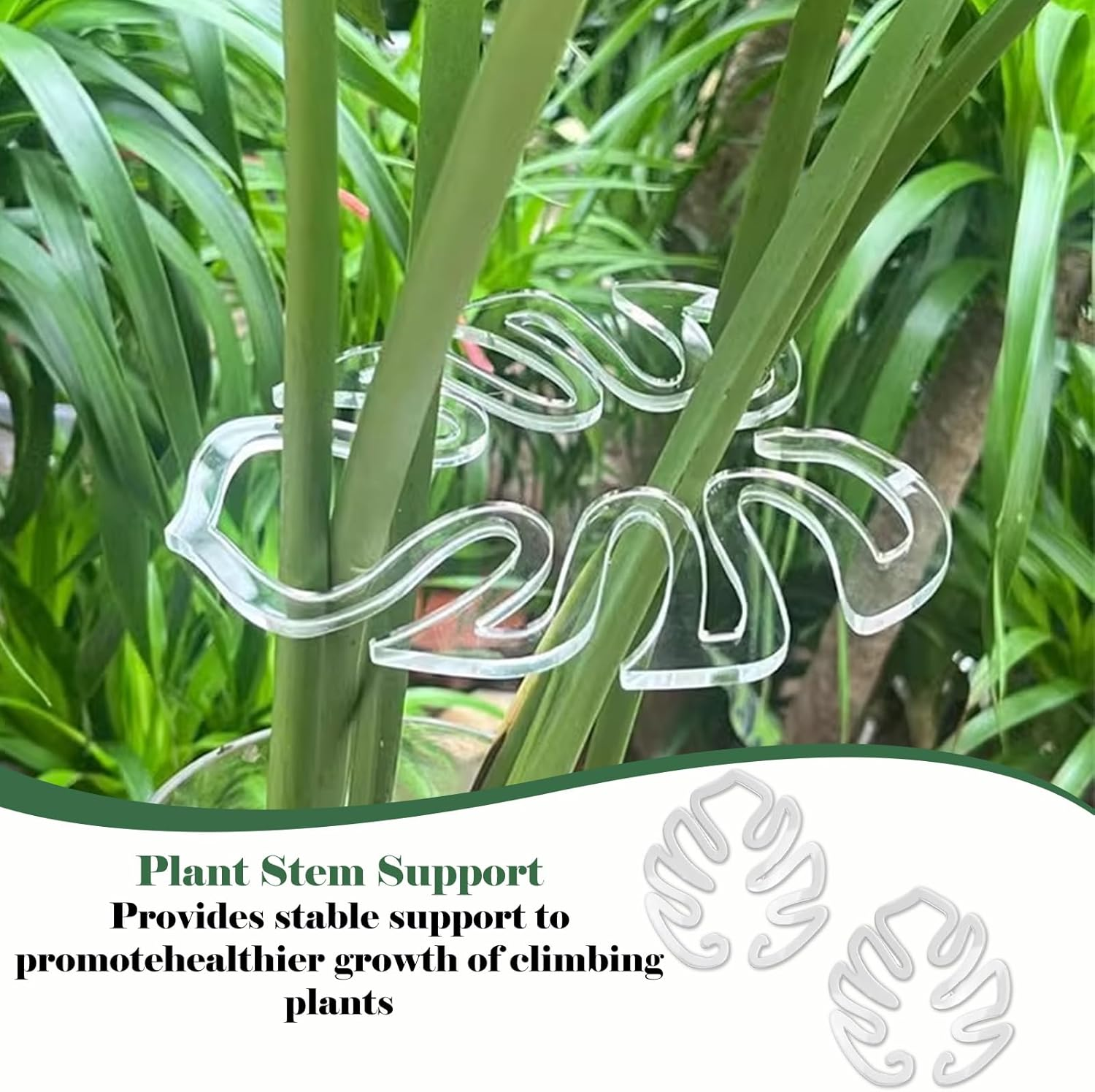 4 Pcs Monstera Plant Support, Wear Resistant Plant Stakes, Plant Stem Support, Unique and Aesthetic Turtle Shell Bamboo Clamp Set Suitable for Flowers, Herbs, Keeps Tame and Growing Vertical image number 1