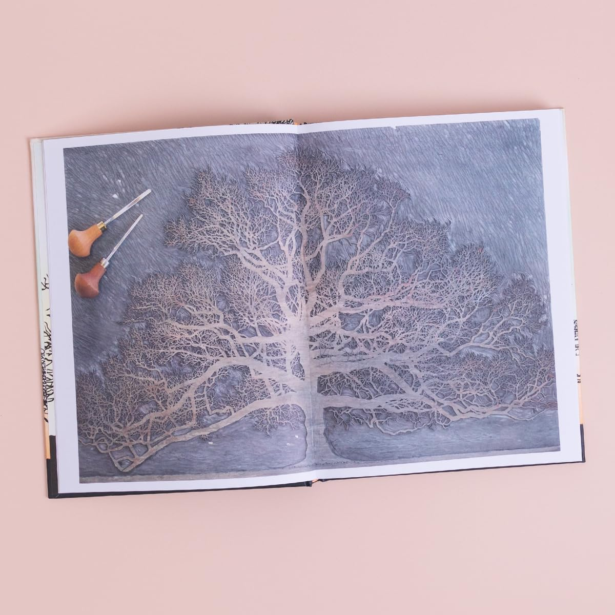 Trees in Winter: Fully Illustrated Edition image number 2