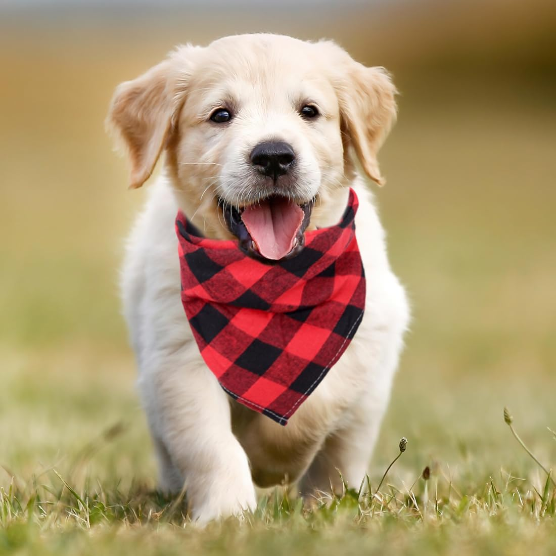 Dog Neckerchief, Cotton Plaid Pet Bandana, Washable Pet Bandana, Triangle Bib, Puppy Neckerchief, Dog Triangular Scarf, Adjustable, for Small, Medium, Large Dogs Pets, Red and Black image number 3