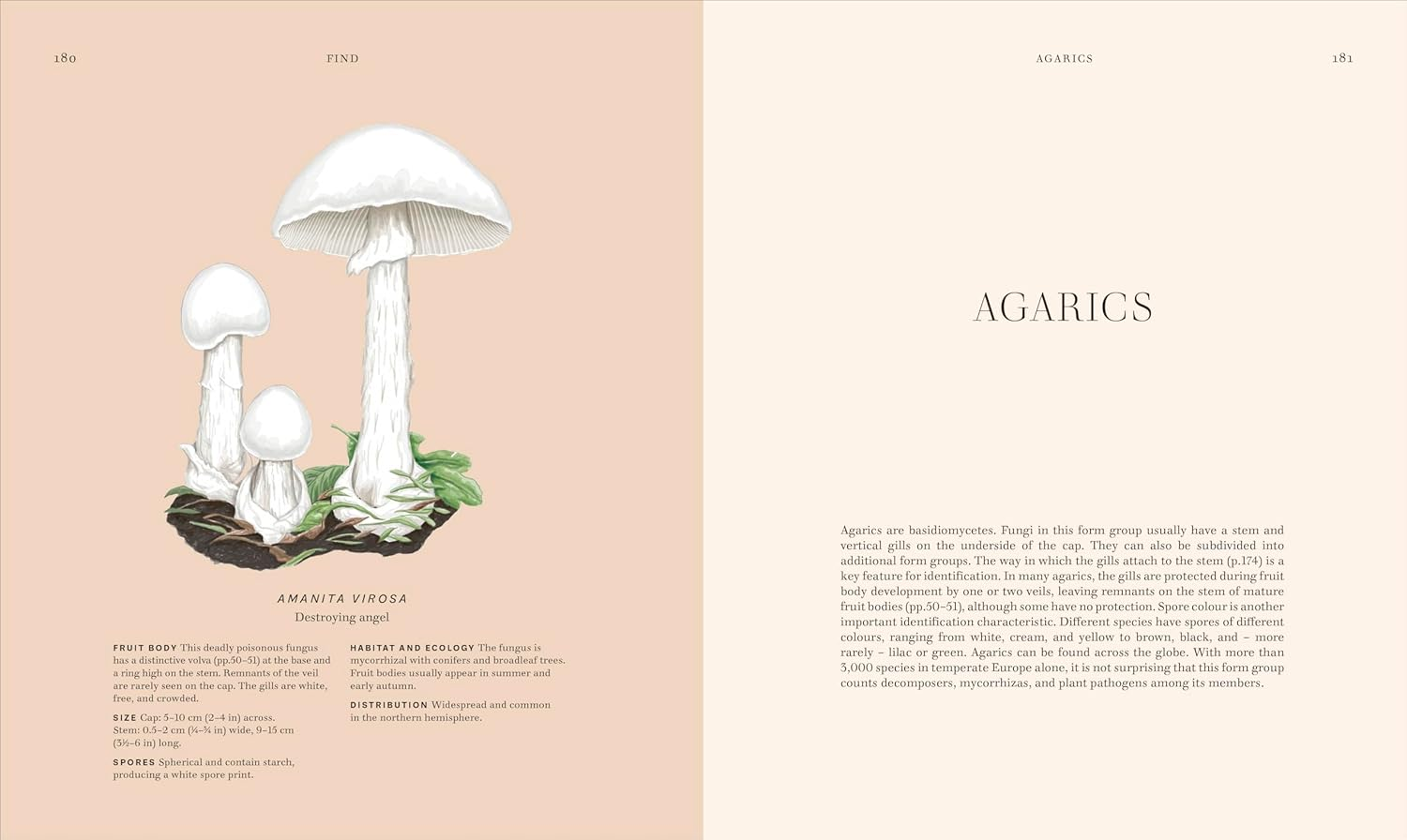 Fungi: Discover the Science and Secrets behind the World of Mushrooms image number 2