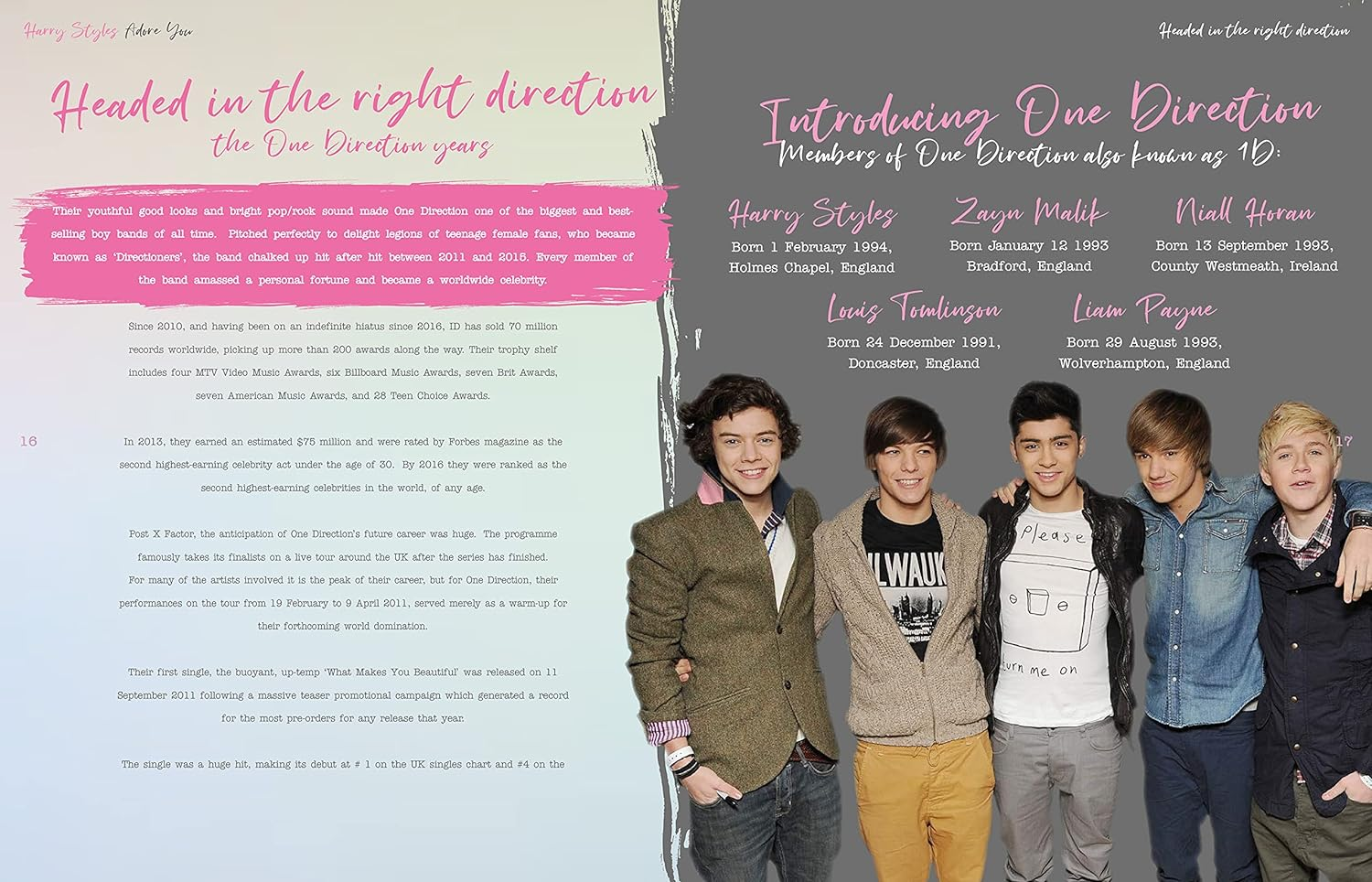 Harry Styles: Adore You: the Illustrated Biography image number 1