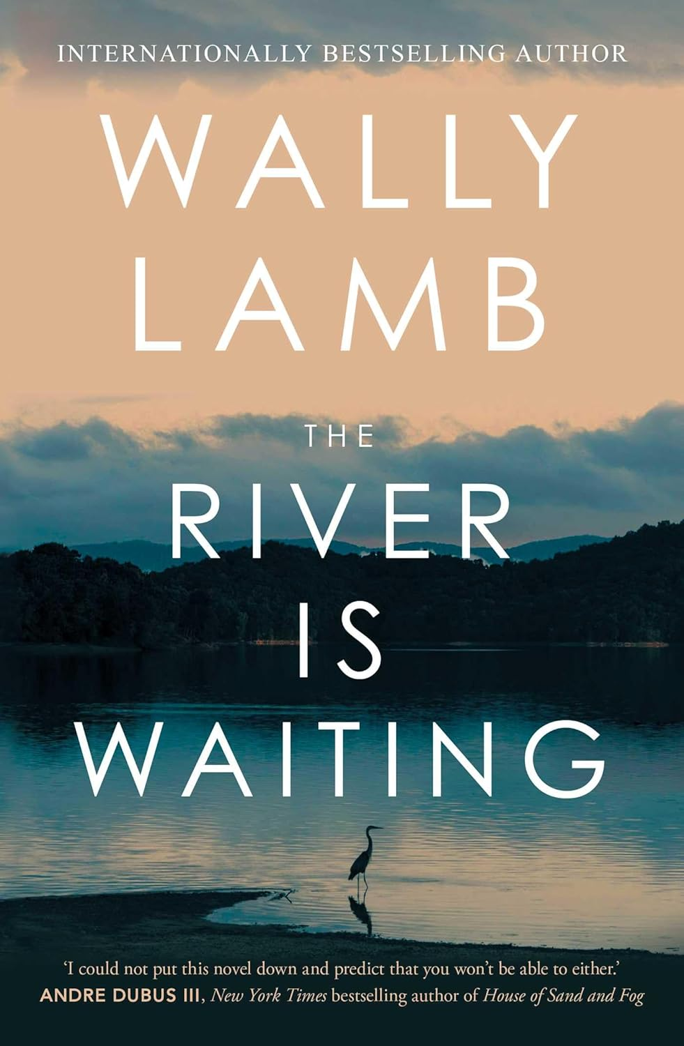 The River Is Waiting (Oprah'S Book Club): a Novel