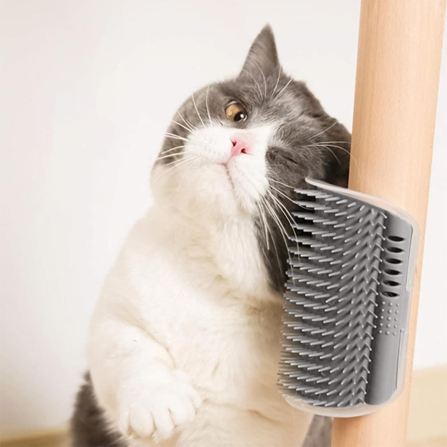 Cat Self-Groomer,Funcyboo 4-Pack Cat Corner Scratching Brush, Cat Use Soft Tentacle Massage Comb Suitable for Long-Haired Cats and Short-Haired Cats (2 Black & 2 Grey) image number 1