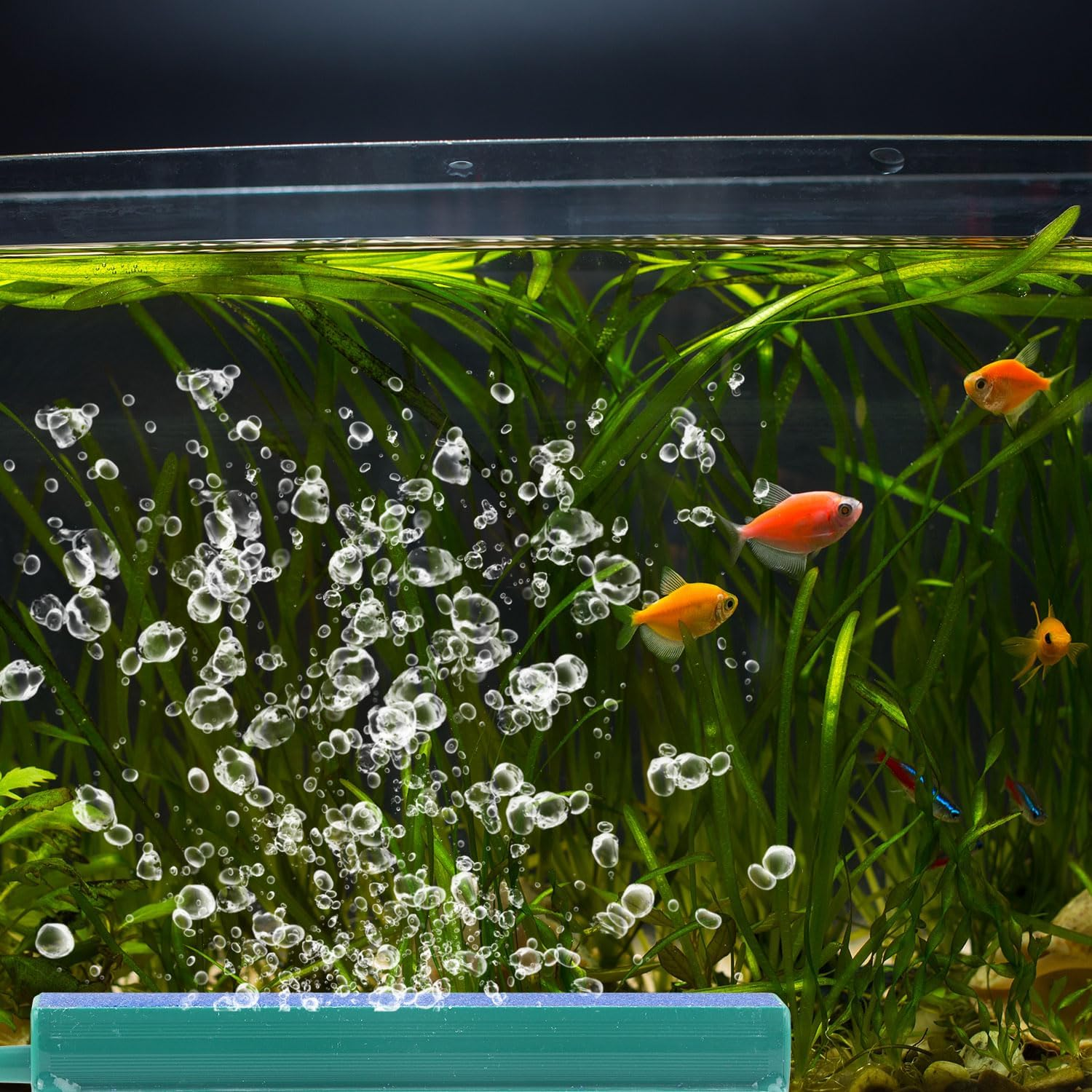 Gosknor 4Pcs Aquarium Air Stone Bar Bubbler, 4In Sand Bubble Stone with Plastic Base for Aquarium Fish Tank Diffuser Ideal Air Pump Accessories for Fish Tank Bucket Hydroponic System image number 3