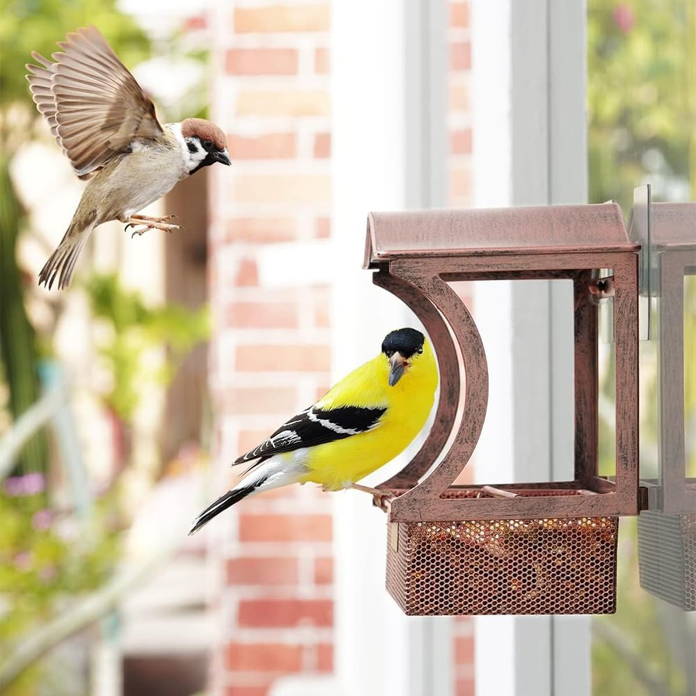 Upgraded Window Bird Feeder with Strong Suction Cups &ndash; Durable Metal Outdoor Bird Feeder for Birdwatching, Cat Entertainment & Nature Lovers &ndash; Easy-To-Clean, Shatterproof Design image number 2