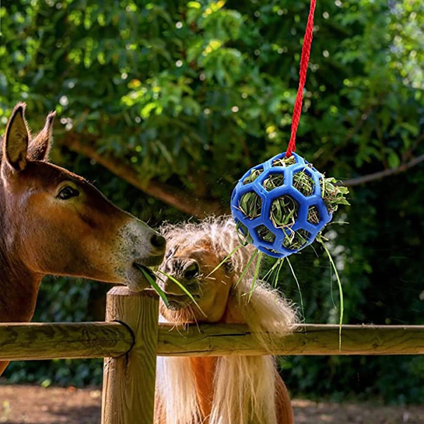 Hanging Feeding Treat Ball for Horse ,Hay Feeder Toy Ball for Horse?Goat Sheep Relieve Stress,Horse Stable Stall Paddock Rest (Blue) image number 2