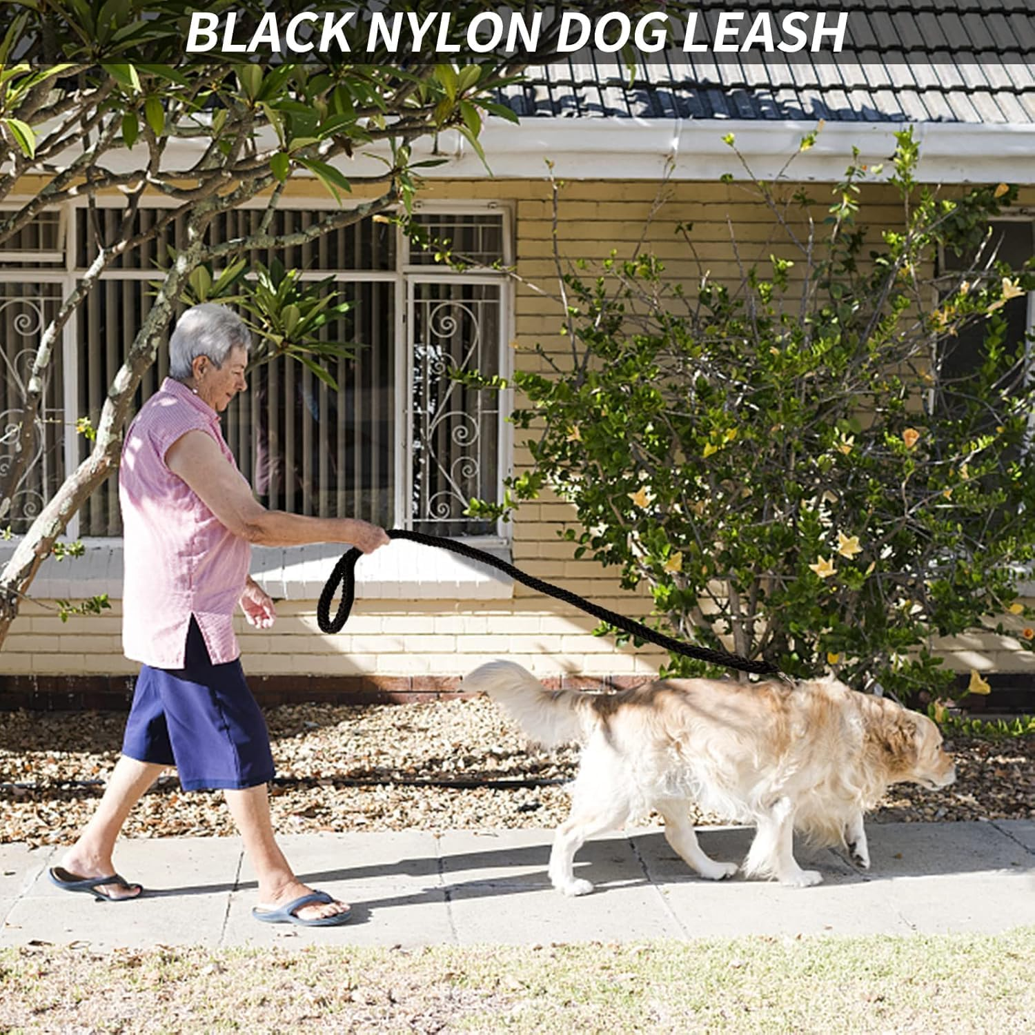 Eight Strand Braided Strong Nylon Dog Leash,1Pc Nylon Eight Strand Braided Lead Dog Leash with Rotating Buckle, Dog Lead Strong Leash Training Lead Rope image number 1