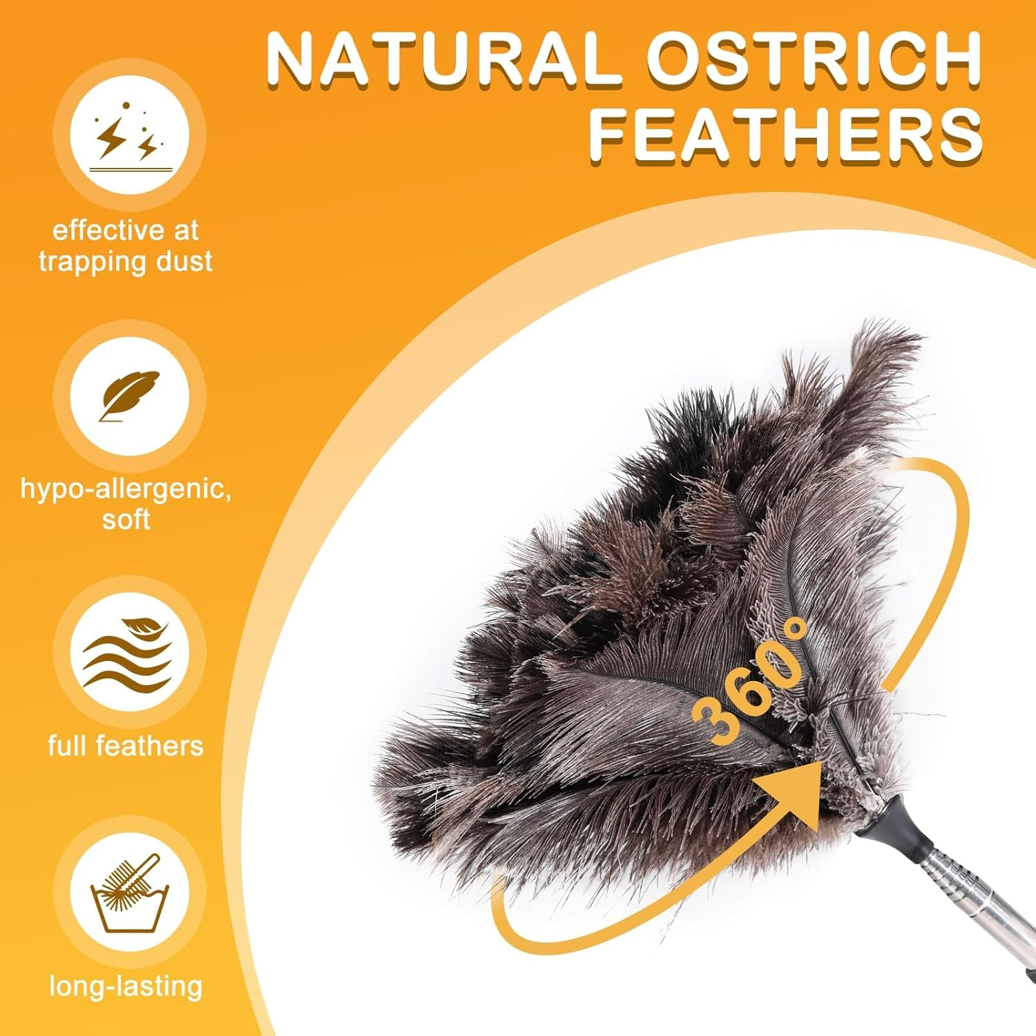 Ostrich Feather Duster with Telescoping Handle &ndash; Reusable, Extendable Dusting Tool for Home Cleaning &ndash; Ideal for Ceiling Fans, Pendant Lights, Blinds, Furniture & Electronics (17&rdquo;-47&rdquo;) 1Pcs image number 2