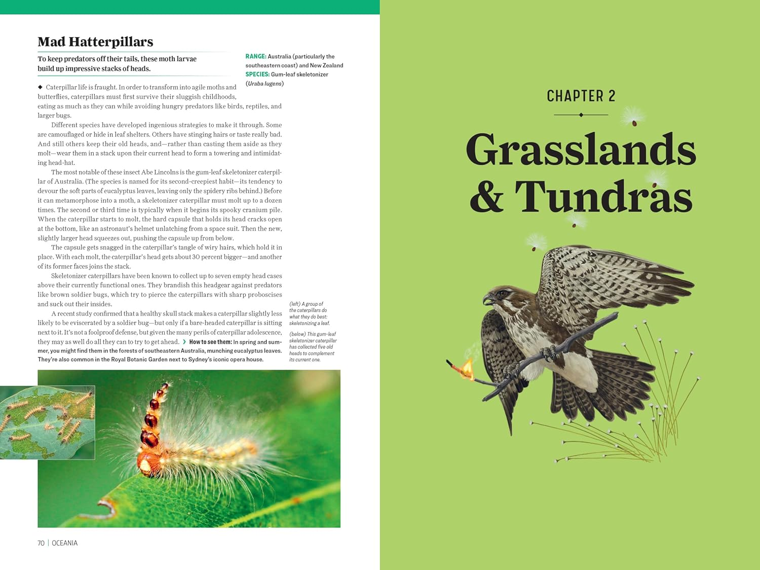 Atlas Obscura: Wild Life: an Explorer'S Guide to the World'S Living Wonders image number 2