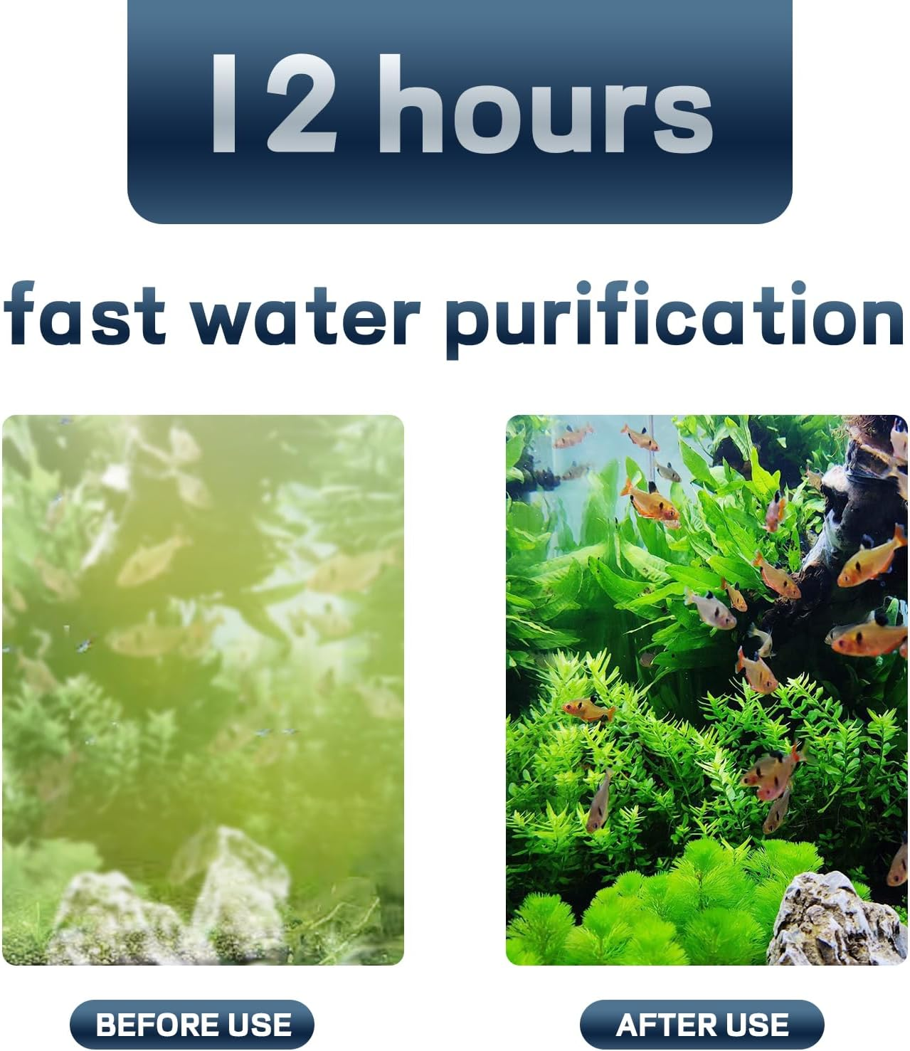 Boxtech Fish Tank Filter Media, Bio Filter Media - Water Purifying & Bacteria Cultivation for Fish Tanks/Ponds, for Freshwater and Saltwater Fish Tank（500G） image number 1