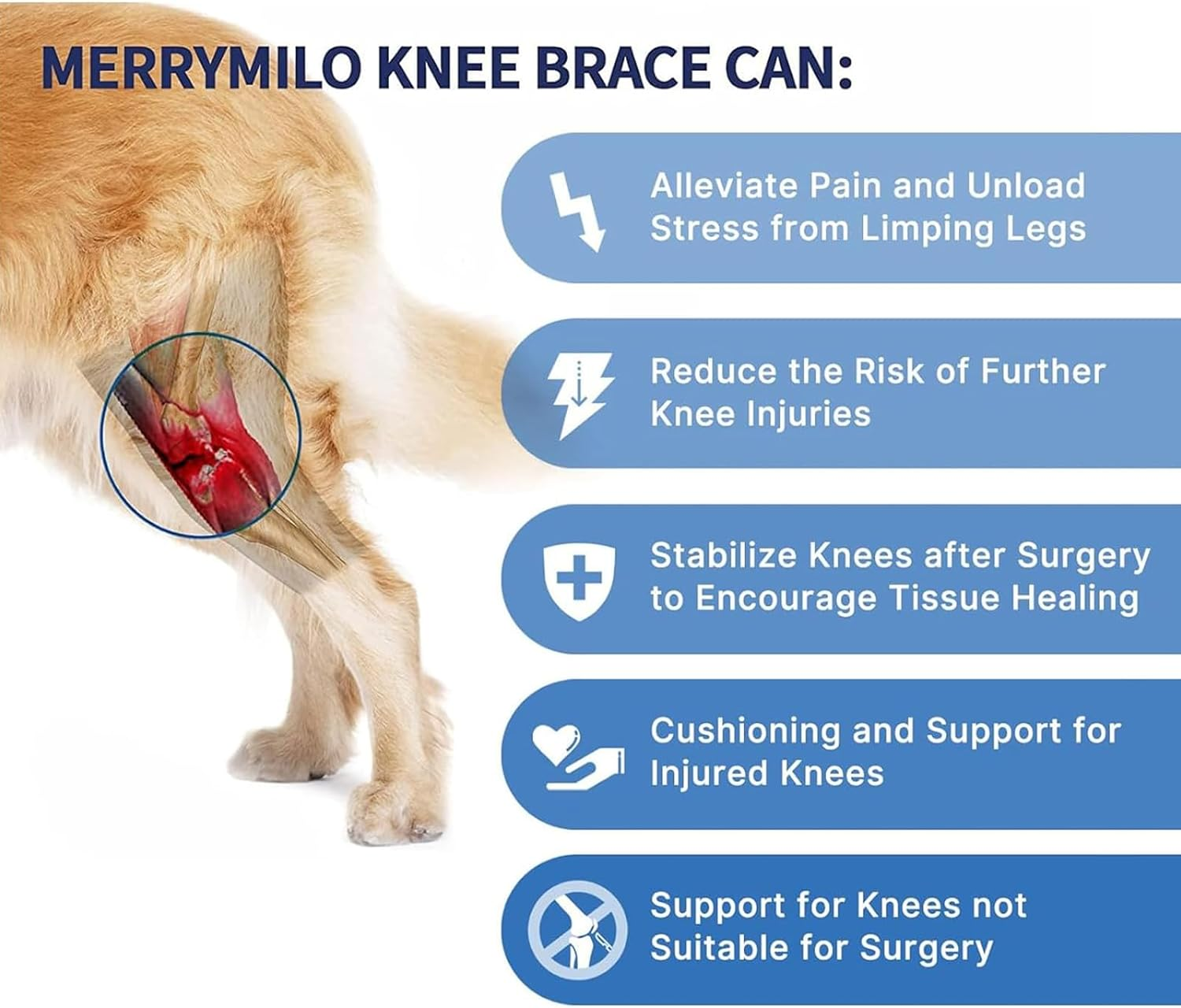 Visuivit Dog Knee Brace for Support with Cruciate Ligament Injury, Arthritis and Knee Cap Dislocation, Better Recovery ACL Brace, Adjustable Rear Leg Braces Dogs, Pet Brace (M, Normal Style) image number 6
