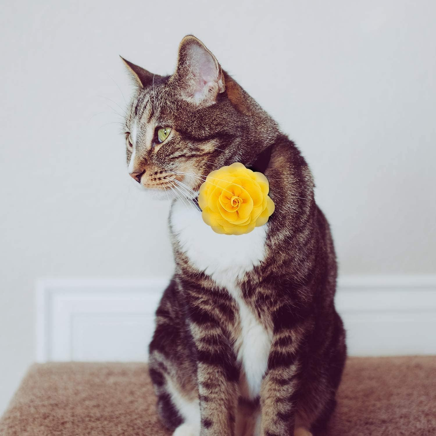 LUTER Pet Collar Flowers Multicolored Dog Flower Tie&Bow Floral Collar Charms Accessories, Detachable Flower Embellishment for Cats, Dogs, Pets Supplies image number 3