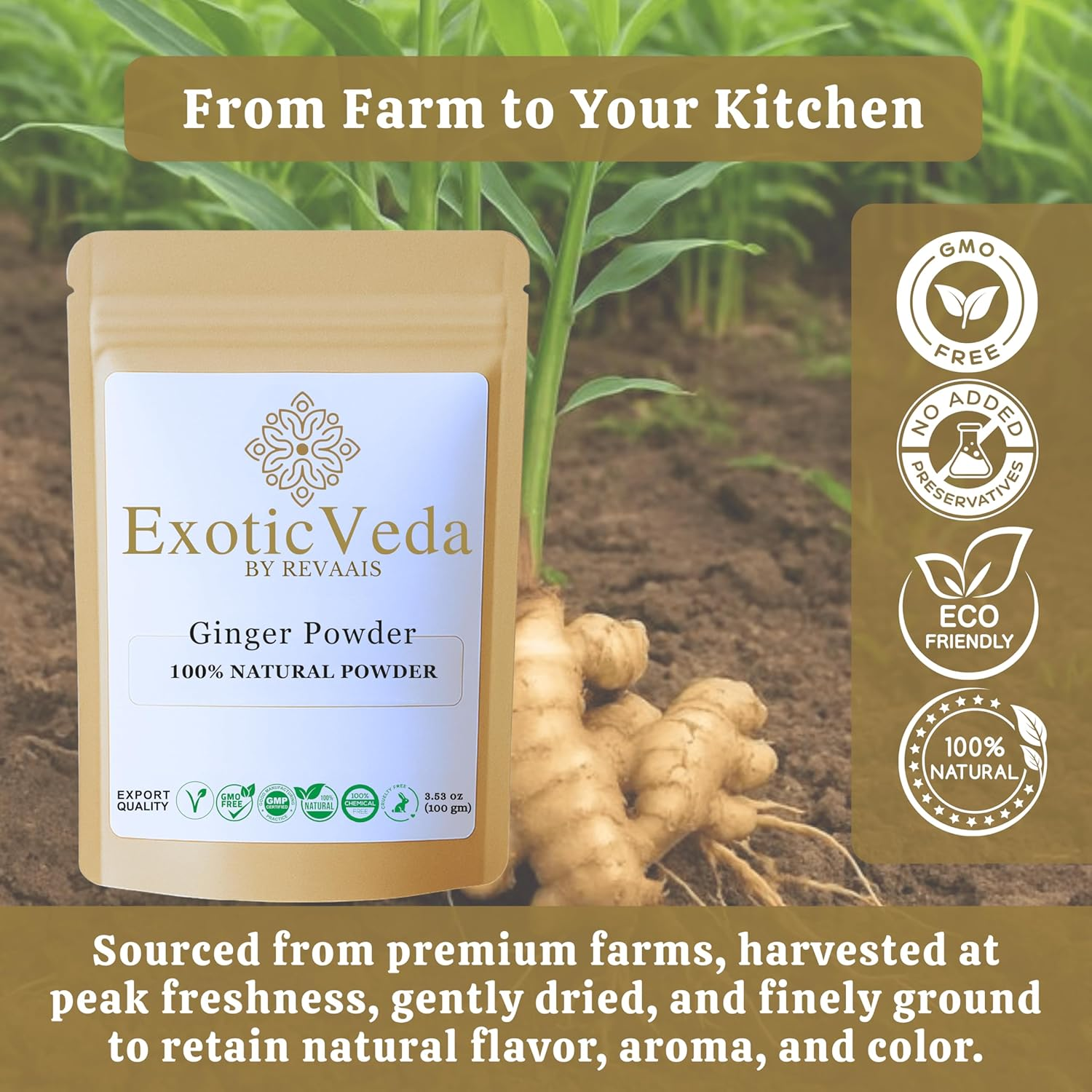 Exotic Veda Ginger Powder | 100% Pure & Natural | No Additives, No Preservatives | 100G Pack image number 3