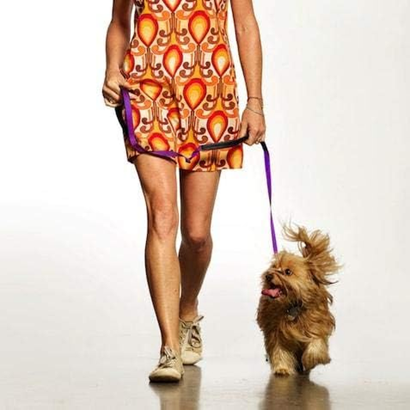 Canny Dog Lead - Lead with Soft Padded Handle and Positional Grip, Designed for Walking, Training and Exercising Your Dog - Blue image number 5