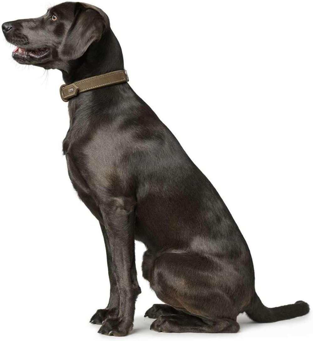 Hunter Dog Collar Hunting, 40, Olive Leather