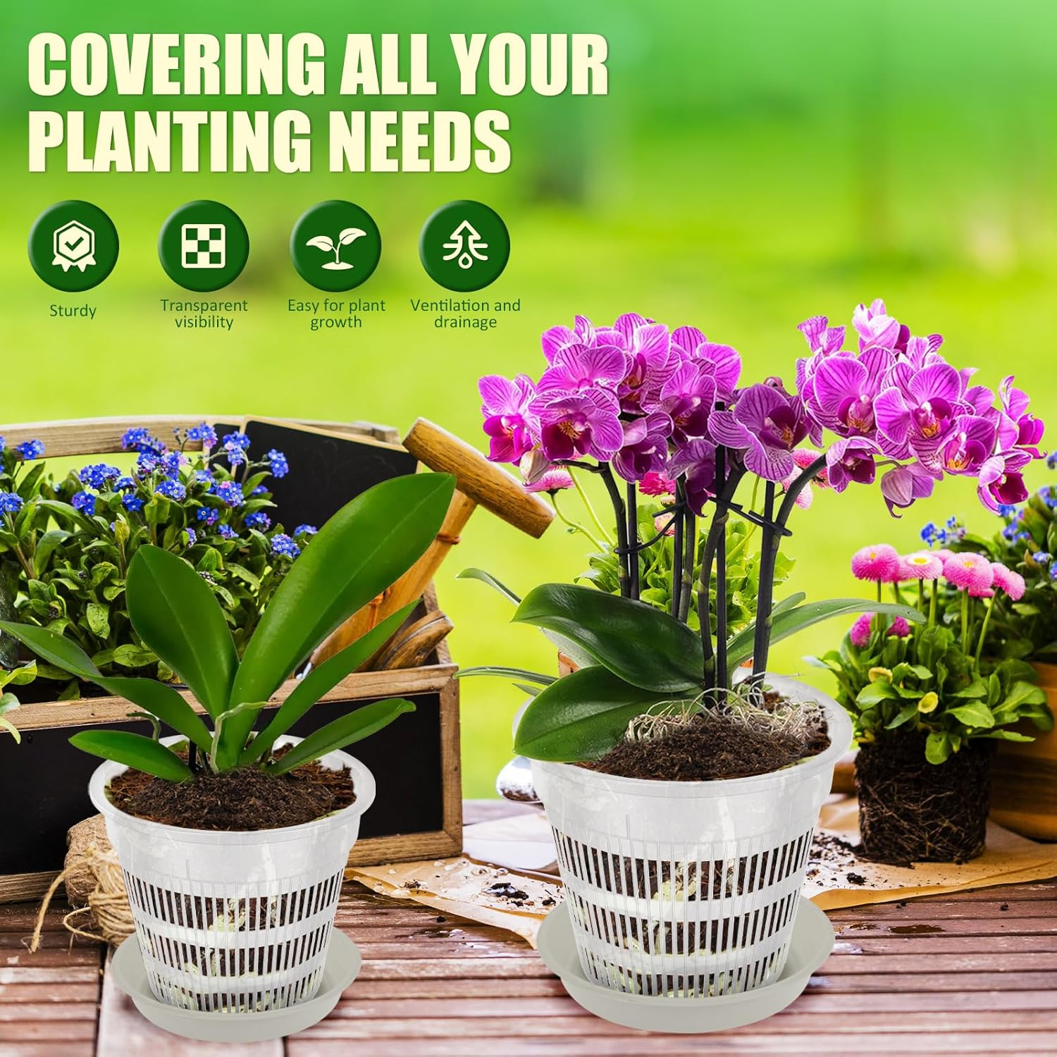 Fwqofvk 15Pcs Plastic Clear Orchid Pot for Root Health, 3 Sizes Orchid Repotting Pot with Hole and Saucer, Breathable Slotted Pot Flower Plant Pot for Small Plants