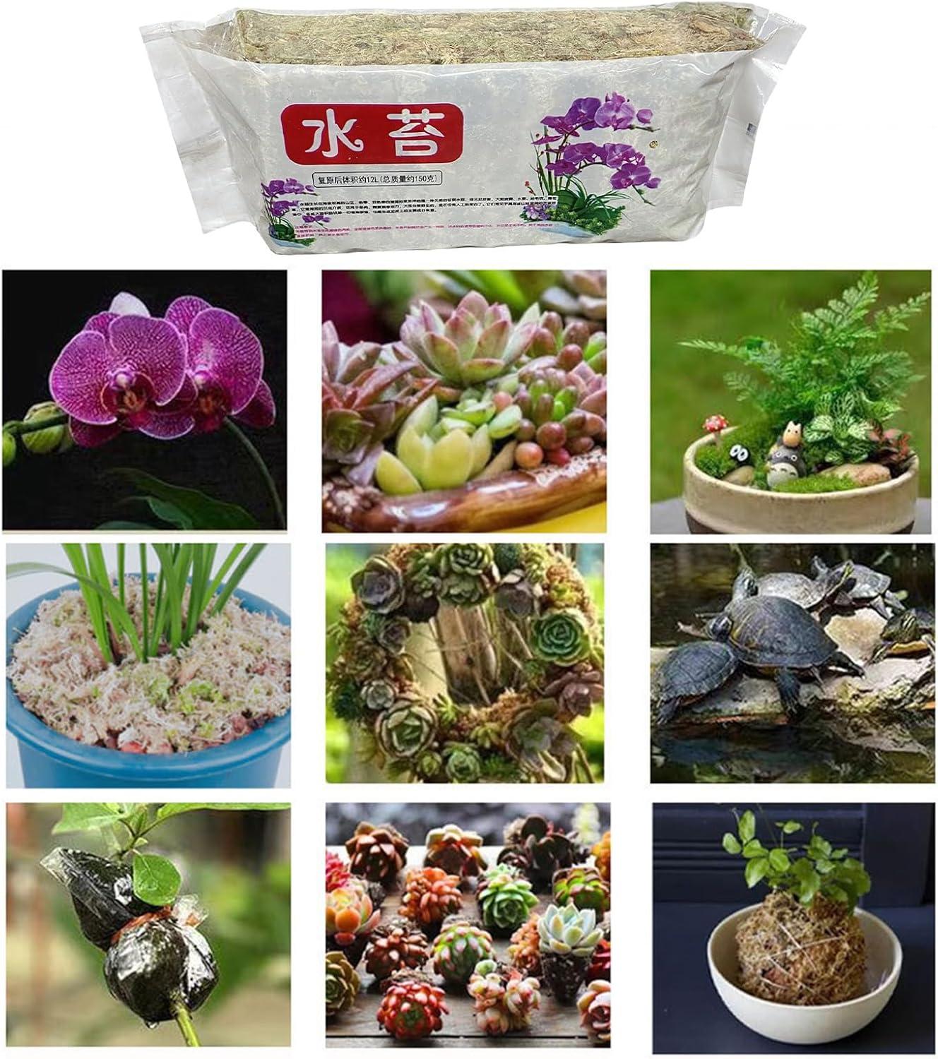 Rronnoy Sphagnum Moss for Orchids - Natural Orchid Moss,Floral Supplies for Houseplant Terrariums Aquarium Floral Crafts Tank Outdoor Pond Gardening Indoor image number 2