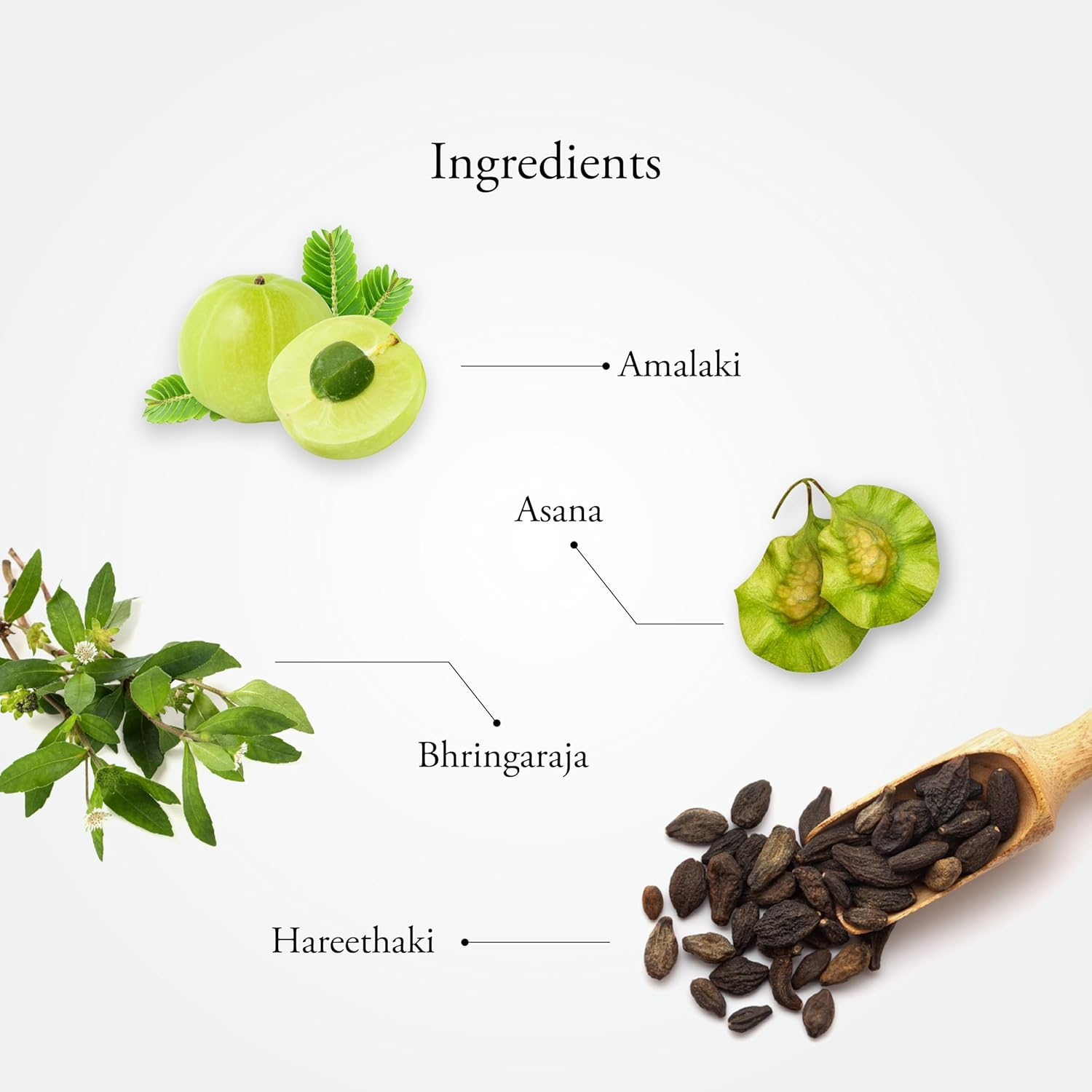 Sitaram Ayurveda Narasimham Herbal Hair Oil 100Ml | Kerala Ayurvedic Hair Oil with Bhringraj and Amla | for Strong & Long Hair image number 5