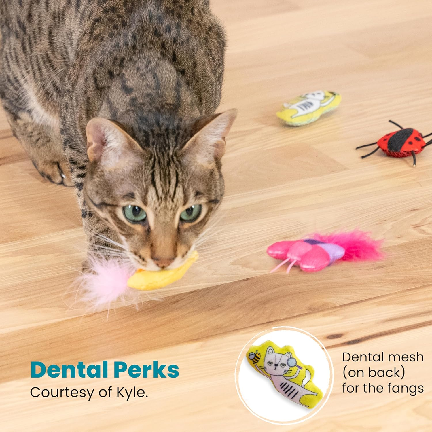 Catstages Cute as a Bug Plush Interactive Cat Toys, Bug Themed Kicker Catnip Toys with Feathers, Crinkle, Mesh, 6Pk, Small, Multicolored image number 1