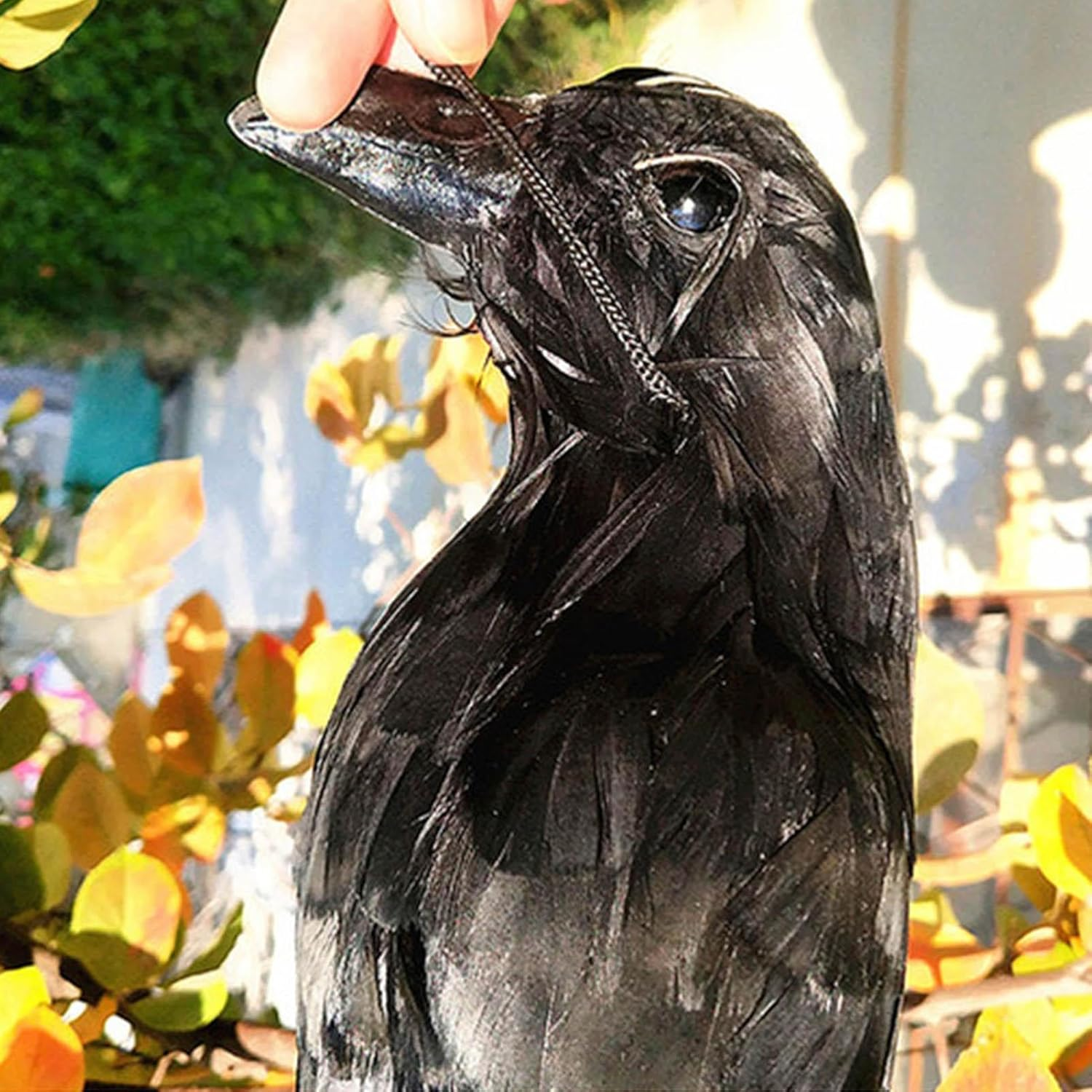 Hanging Dead Crow Bird Scarer,Crow Decoys,Rrealistic Crow Decor, Lifesize Black Feathered Crow Fake Black Crows for Garden Backyards Patios Doors Halloween Decorations image number 4