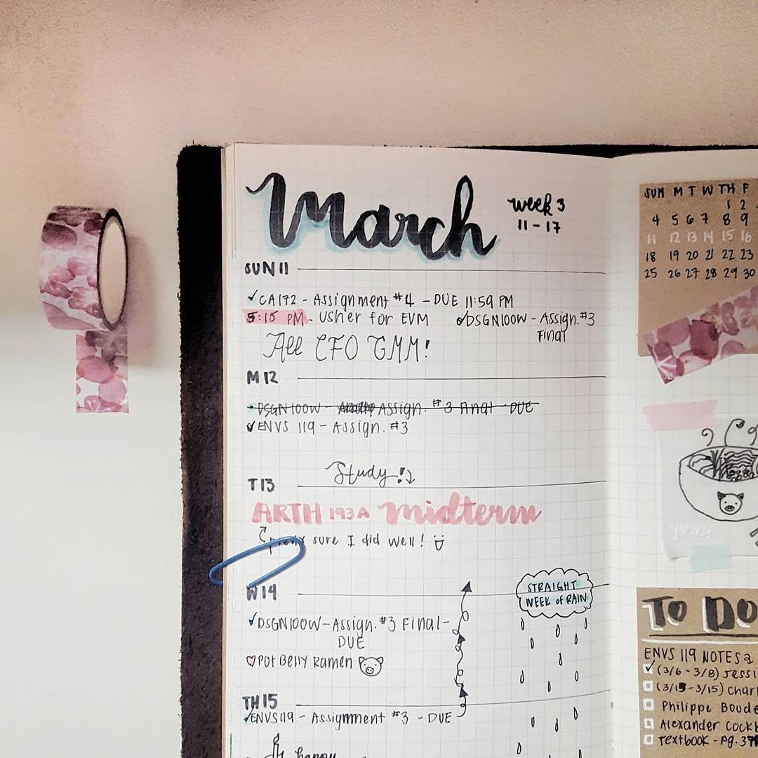 Travelers Notebook Inserts - Graph Refills for Standard Size Travelers Notebook, Set of 3, Total 192 Pages, 8.25 X 4.25 Inches - Lined image number 3