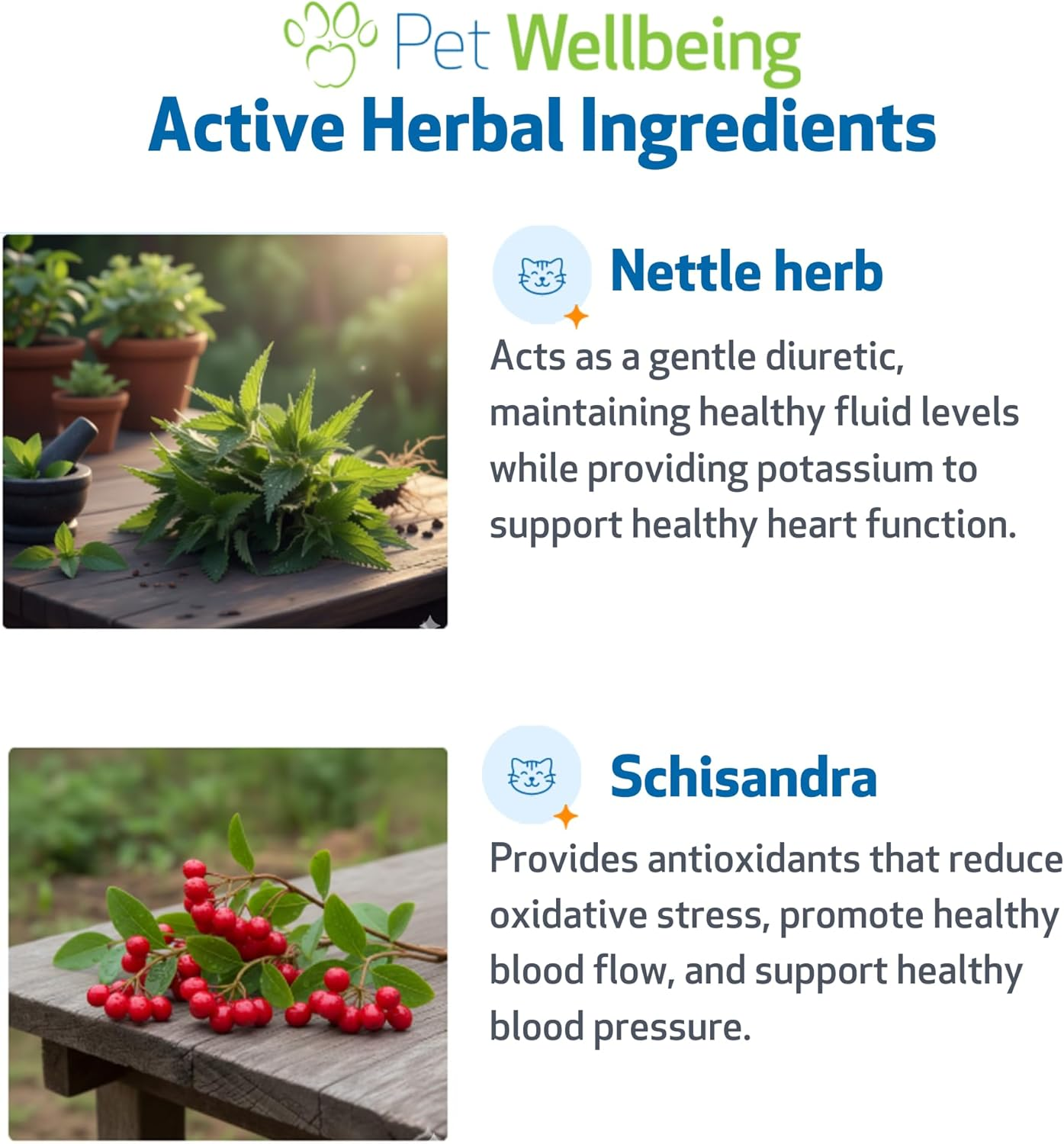 Pet Wellbeing Young at Heart for Cats - Vet-Formulated - Heart Health, Circulatory & Cardiovascular System, Hawthorn, Motherwort, Schisandra - Herbal Supplement 2 Oz (59 Ml) image number 2