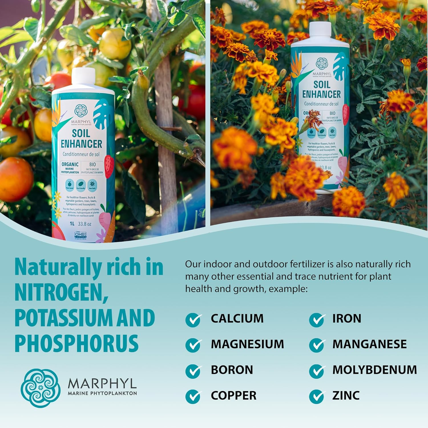 MARPHYL Organic Liquid Fertilizer Outdoor & Indoor Plant Food, All-Purpose, Nutrient-Rich Lawn Fertilizer & Soil Enhancer for House Plants, Flowers, Vegetables, Succulents, Bamboo, Hydroponics 4L image number 5