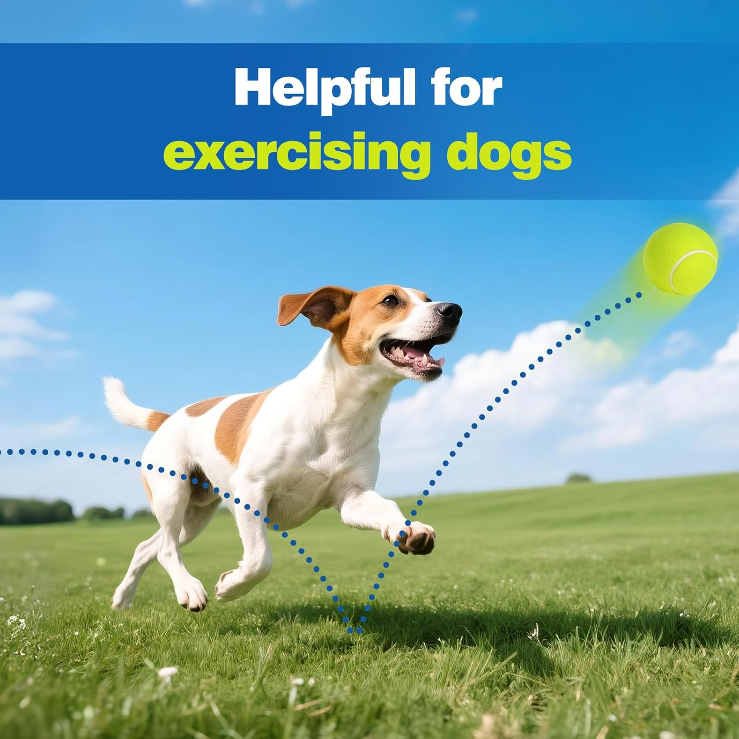 12 Pack Tennis Balls for Dogs, 2-Inch Size, Compatible with Most Automatic Ball Launchers, Exercise Playing Balls for Pet Dog image number 2