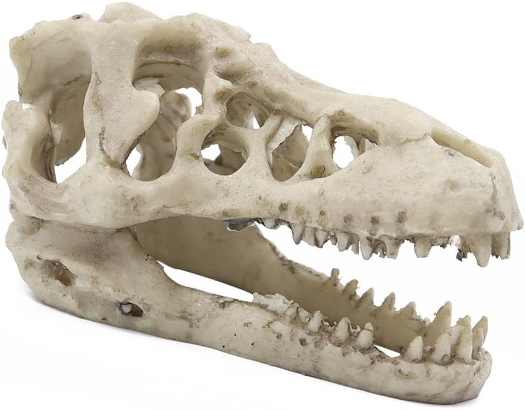 NUZAMAS Dinosaur Skull Skeleton Ornament Resin Artificial Dinosaur Skull Shape Fish Tank Ornament Cave Decoration Hiding Climbing Shelter for Fish Tortoise image number 3
