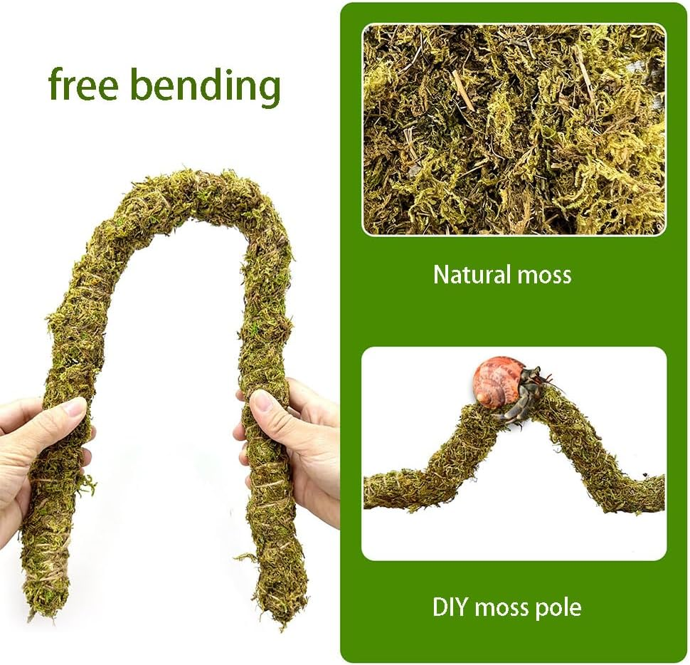 5Pcs Hermit Crab Accessories,Coconut Shell Hideout Hut Plants for Reptile Amphibians Supplies,Hermit Crab Climbing Toys image number 1