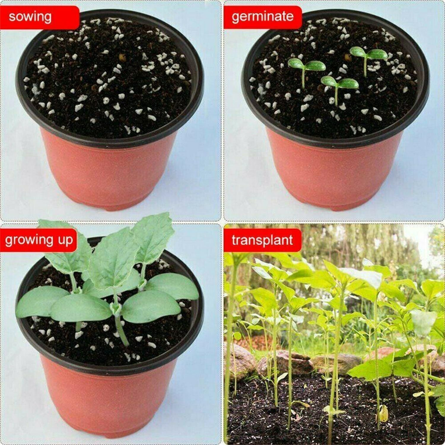 Leona Co 100 Packs Plastic Plants Nursery Pots, Flower Plant Growing Container Seed Starting Planter Flowerpot Bulk for Seedling Transplant Indoor Outdoor Supply, Garden Yard Park (12X8.2X10Cm) image number 3