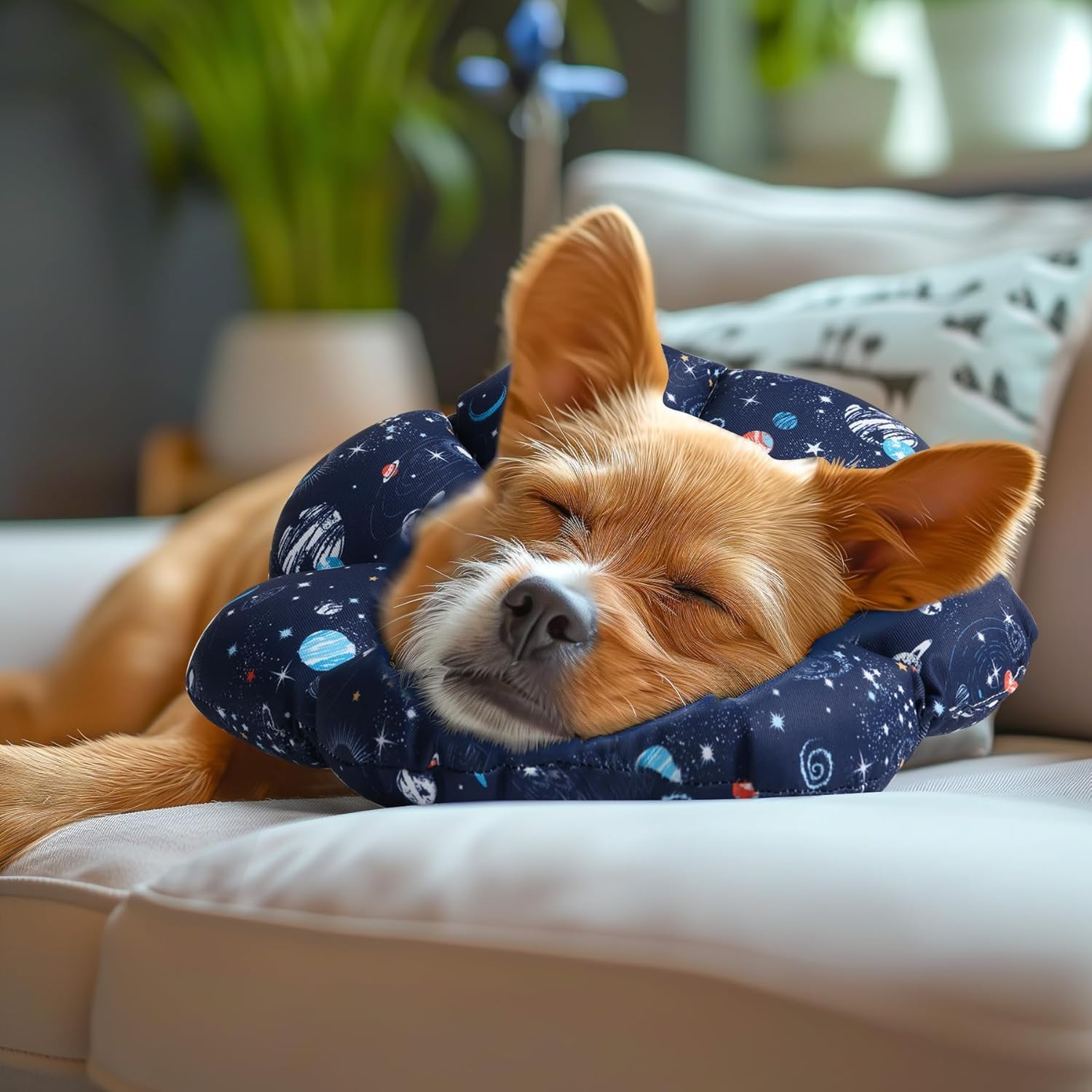 Comsaf Soft, Protective Adjustable Cat Cone Collar to Stop Licking after Surgery, Comfortable Lightweight Elizabethan Collar for Large Cat and Small Dog, Dog Recovery Collar Prevents Licking Wounds image number 6