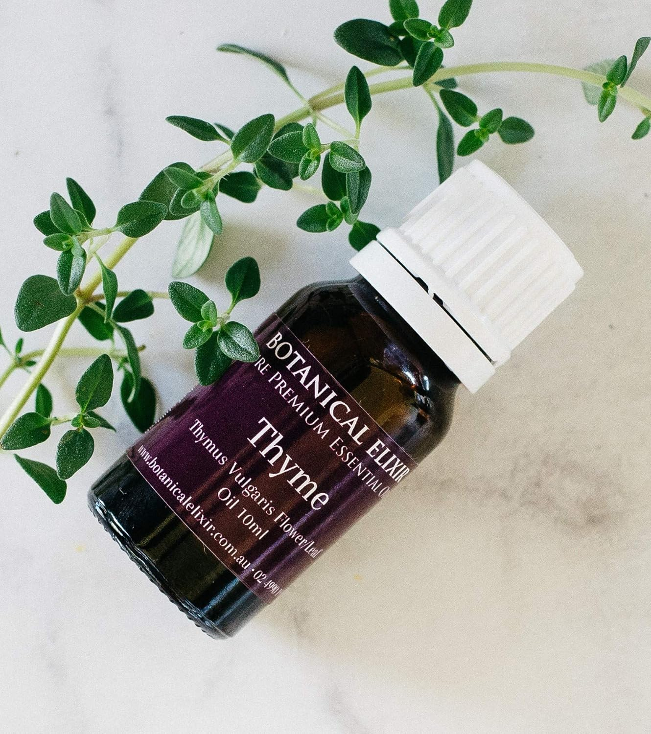 Thyme Essential Oil