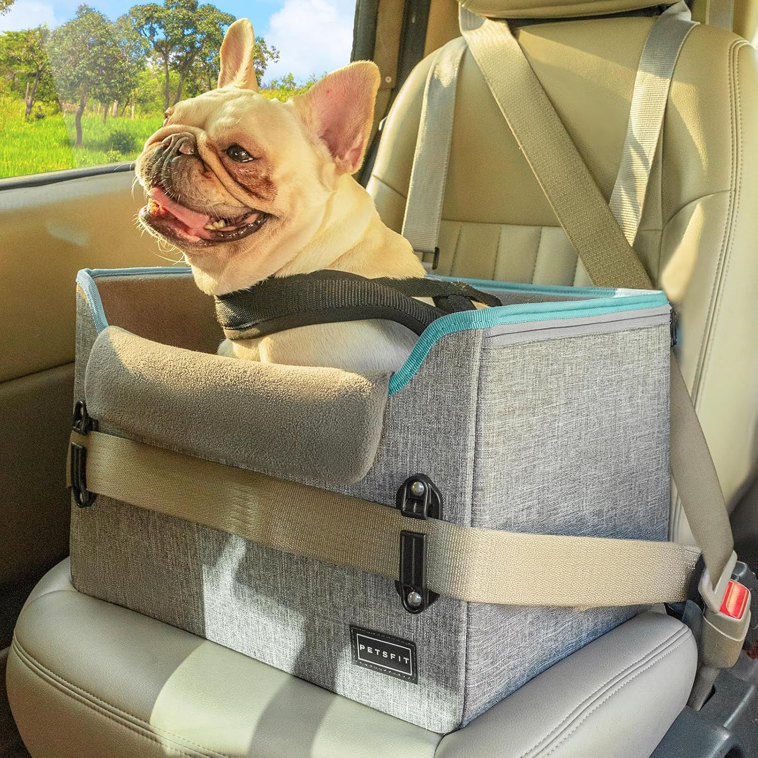 Petsfit Dog Car Seat for Small Dogs, Stable & Secure Dog Seat Car Rear Seat with Seat Belt Retaining Clip, Dog Basket Car Isofix with Washable Plush Cushion for Dogs and Cats up to 5.4 Kg image number 4