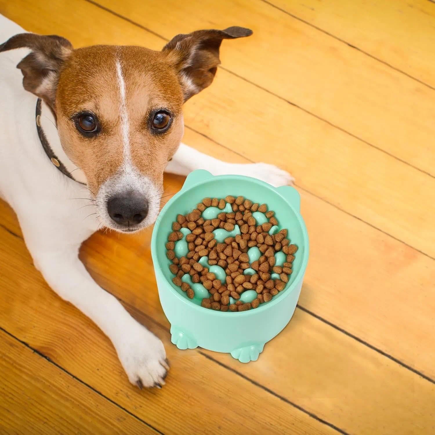 Elevated Slow Feeder Cat Bowl with Ergonomic Design for Healthy Feeding and Digestion Support-Ermaoo image number 6