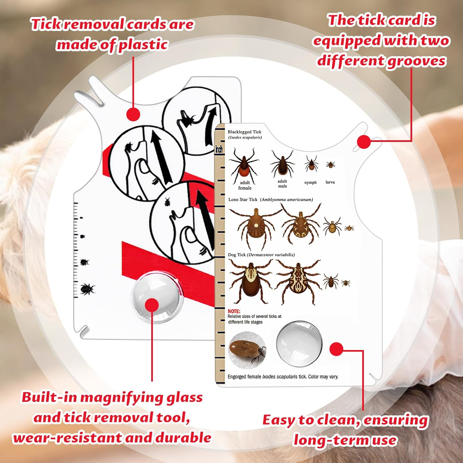 Colorich Pack of 2 Tick Cards Human, Tick Card Dog Cat Tick Removal Tick Card with Magnifying Glass for People Children Dogs Cats image number 2