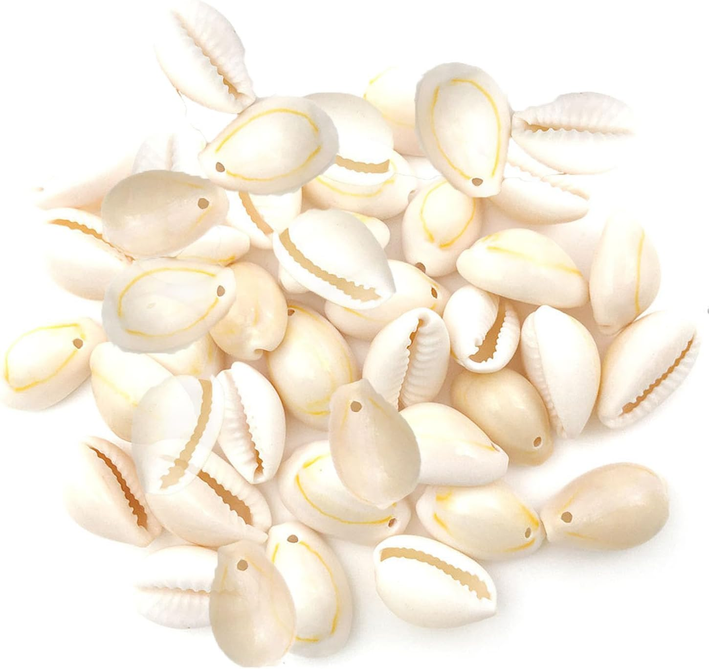 Shengsenfu 150 White Natural Cowrie Spiral Sea Shells for Jewelry Making, Craft Beads, Nautical Decor
