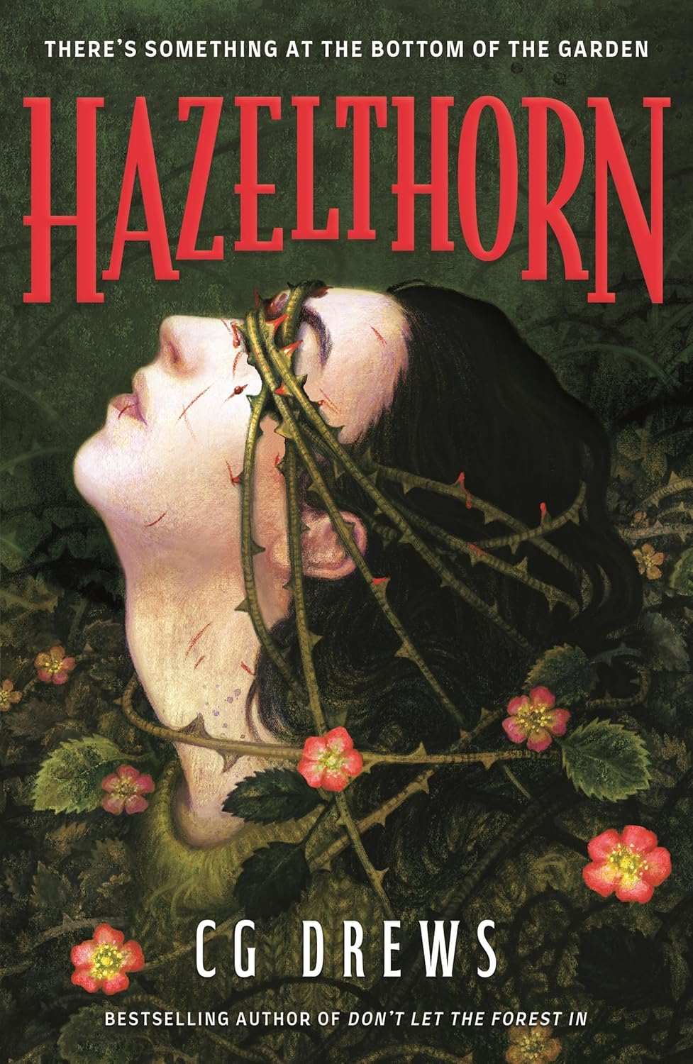 Hazelthorn: Gorgeously Gothic Horror and Queer Dark Romance from the NYT Bestselling Author of Don'T Let the Forest In image number 1