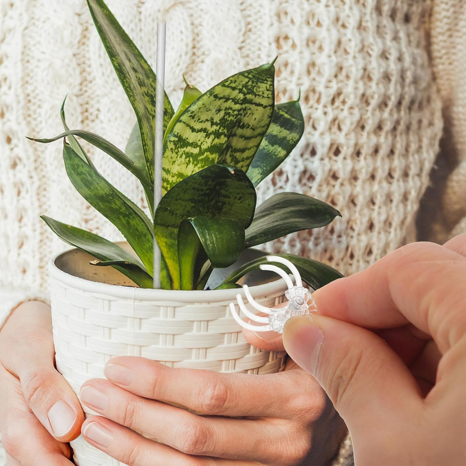 POPETPOP Orchid Stakes and Clips : 1 Set Plant Support Stakes for Indoor Plants Acrylic Plant Stakes Plant Sticks Plant Climbing Rod for Orchid Potted Plants Tomatoes