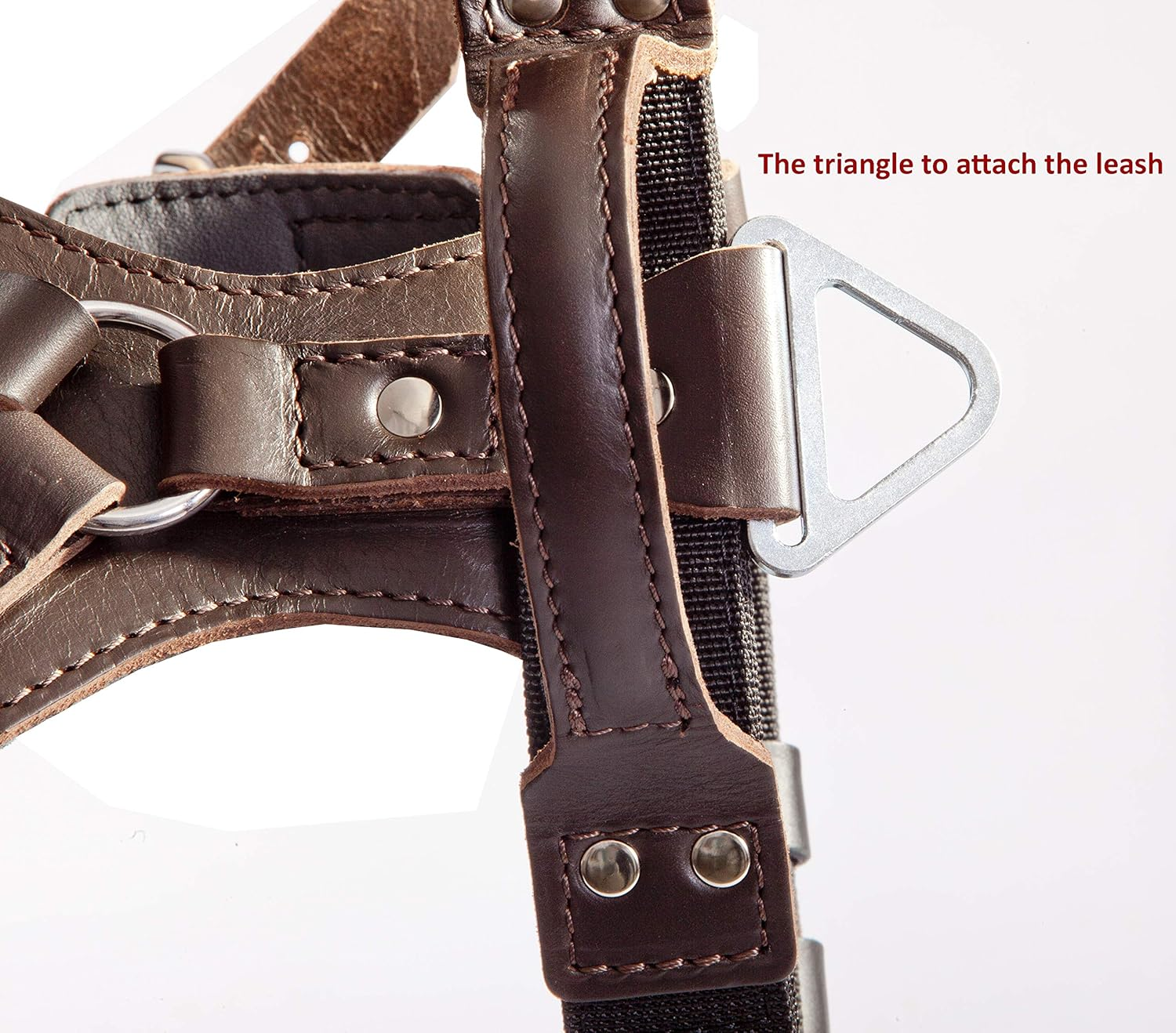 Dingo Gear Elite Dog Harness Hadmade of Leather, Durable, Strong, Dark Brown, M image number 2