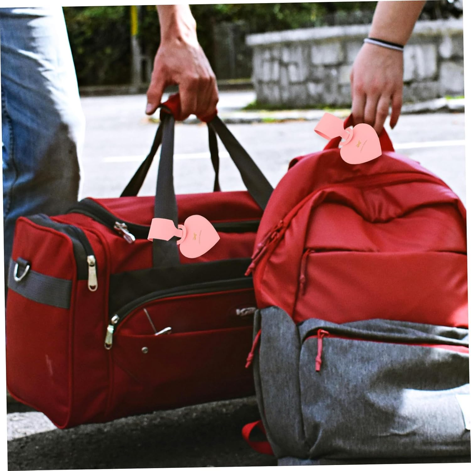 CATIEBYE 4Pcs Luggage Tags Labels Travel Suitcase Tags for Suitcase Name Id Card Holder