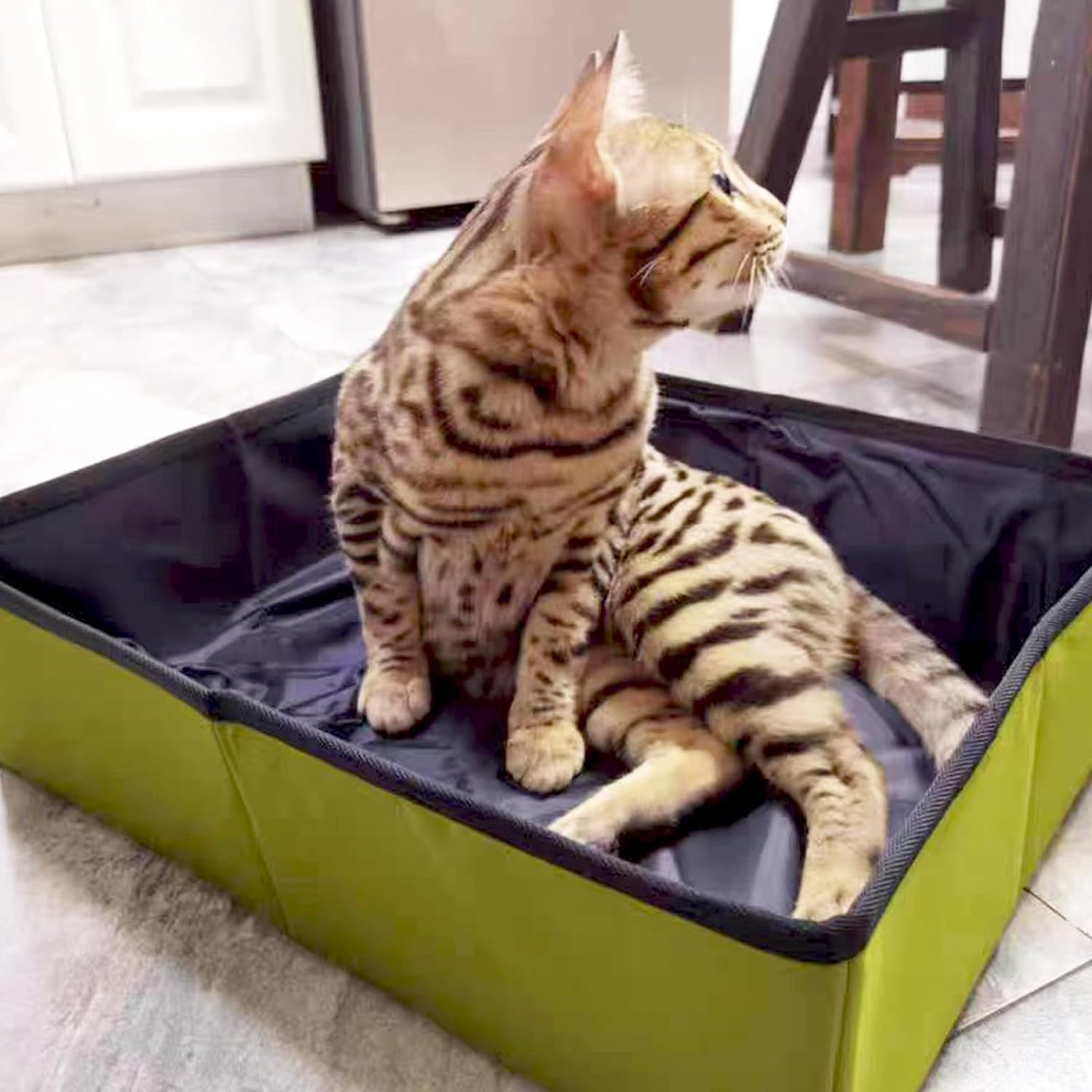 Cat Litter Tray for Travel, Portable: Cat Litter Tray, Foldable Waterproof and Breathable, Cat Litter Tray Lightweight and Easy to Clean, Cat Litter Box for Car, Travel, Camping (45 X 35 X 12.5 Cm) image number 1